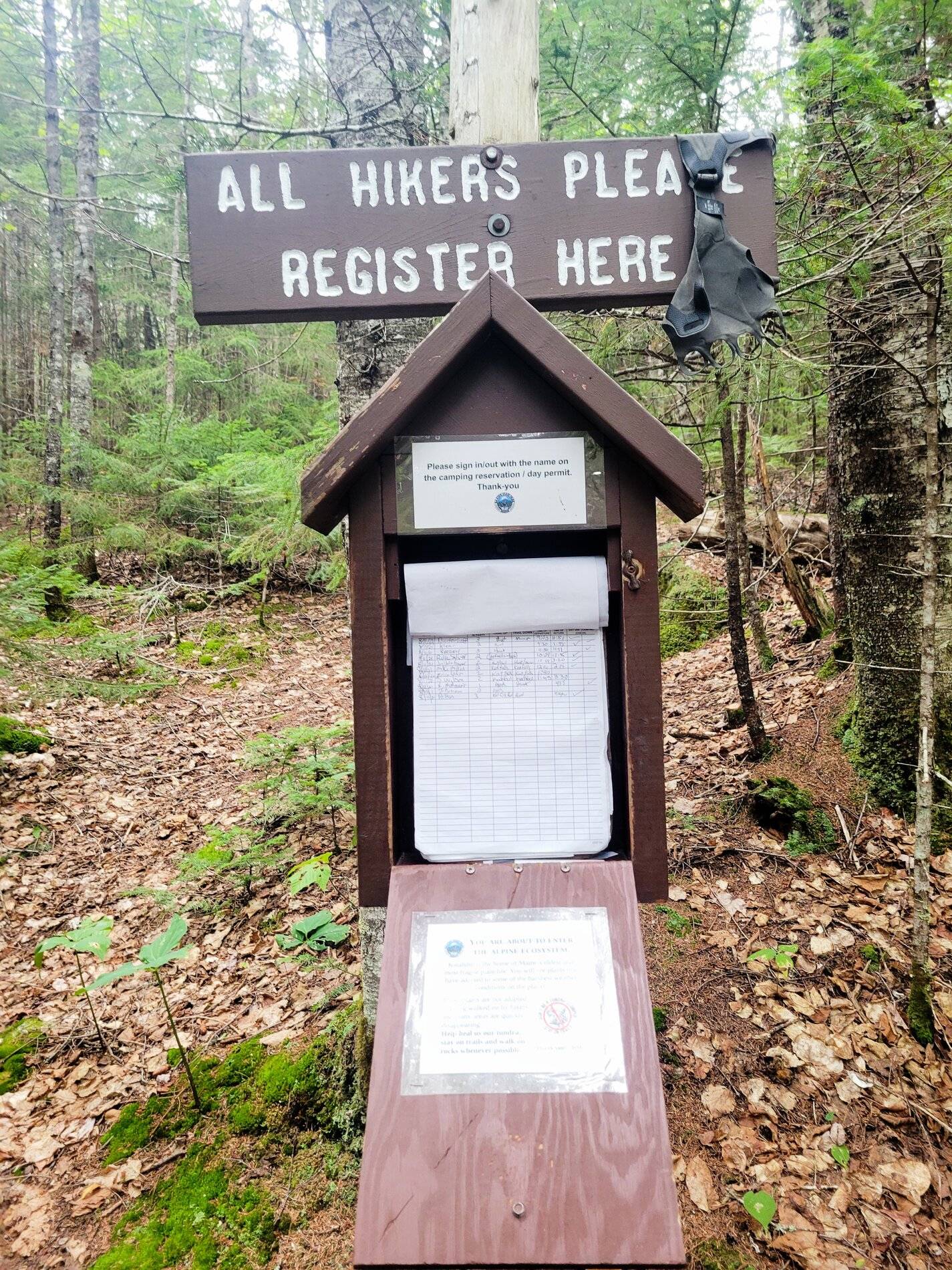 Ford Bronco Sport Road trip to Maine.... 20210811_155537_02