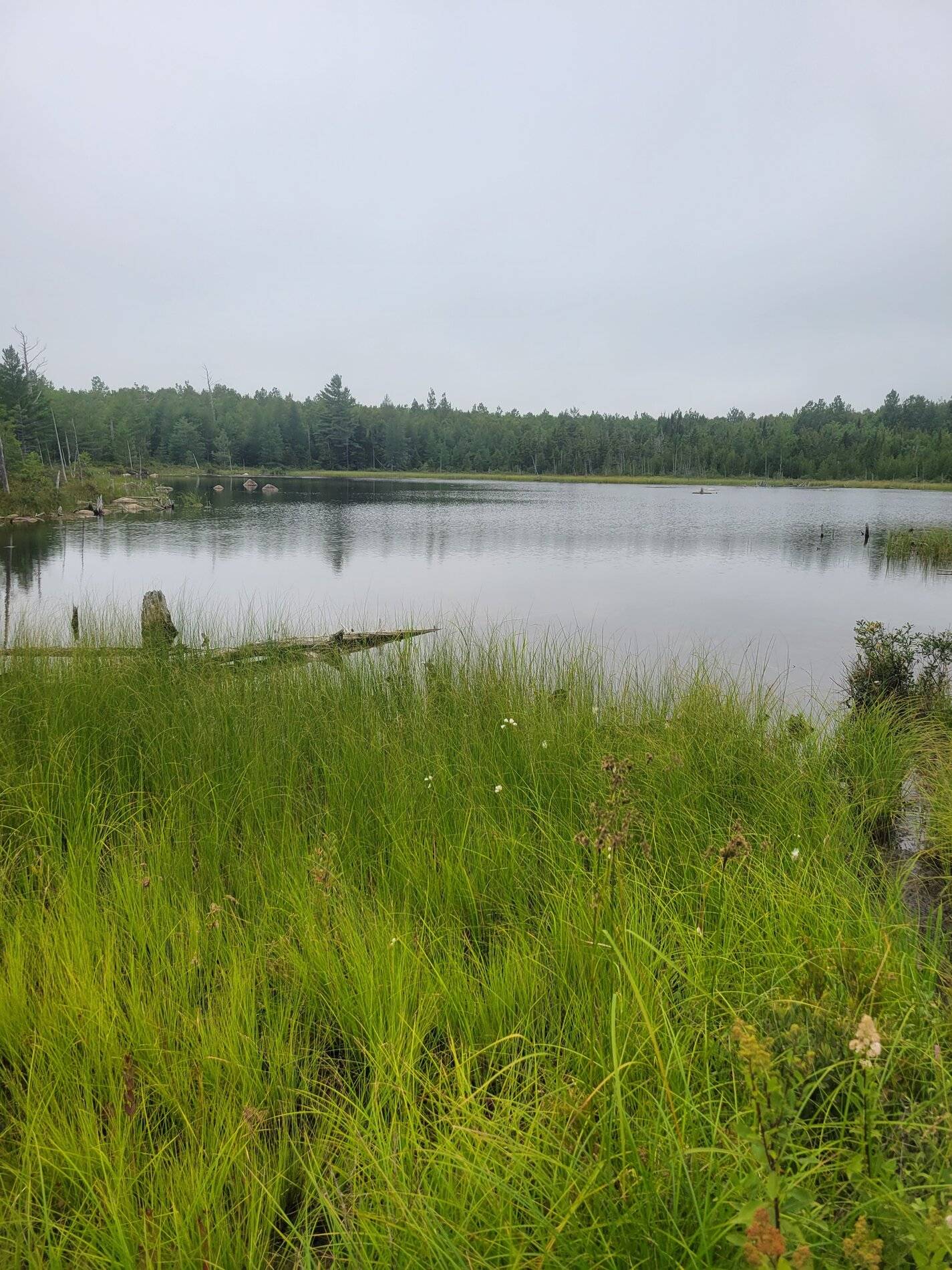 Ford Bronco Sport Road trip to Maine.... 20210811_162126