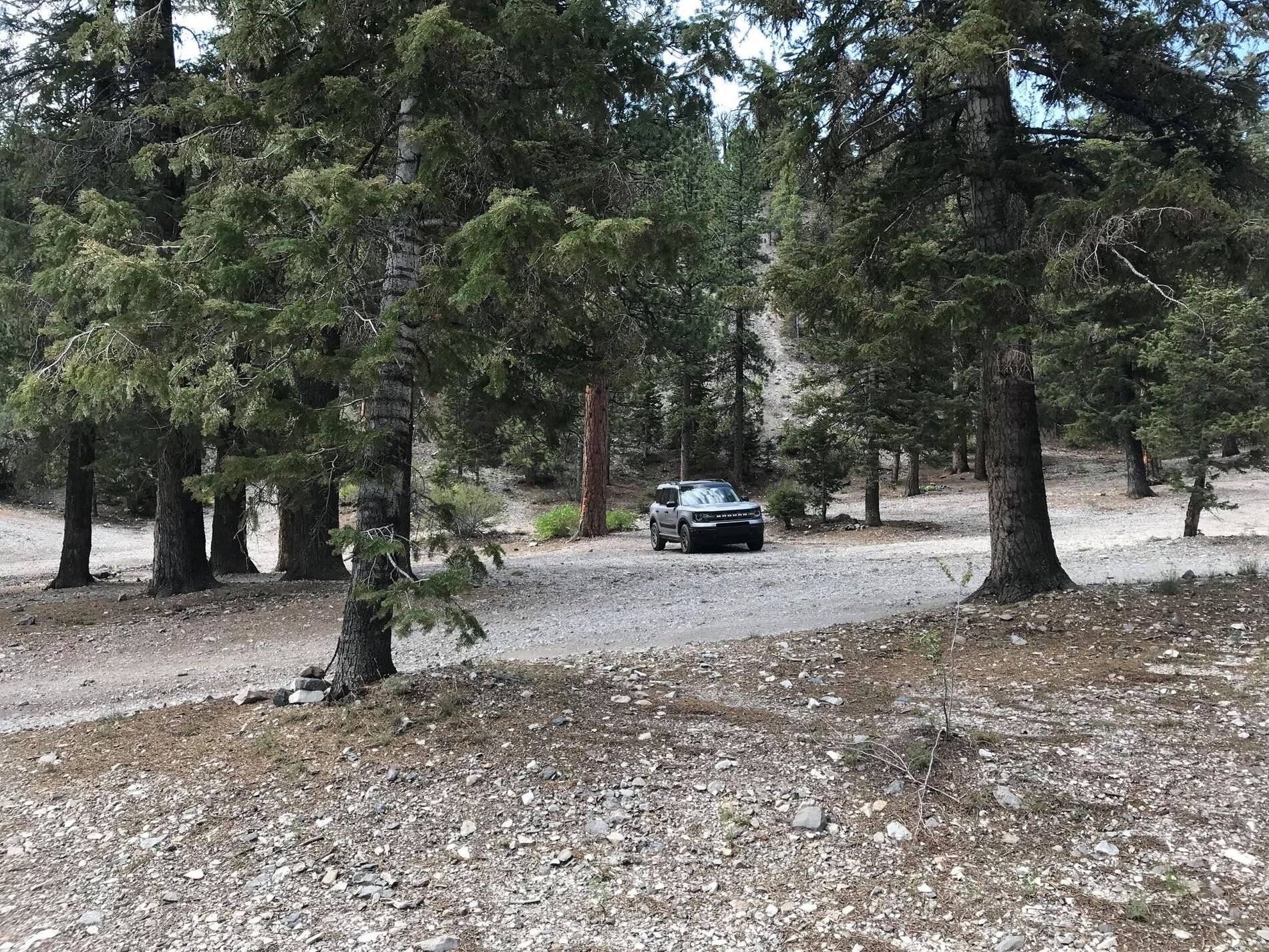 Ford Bronco Sport Post the best photos you've got of your Bronco Sport Bronc in woods