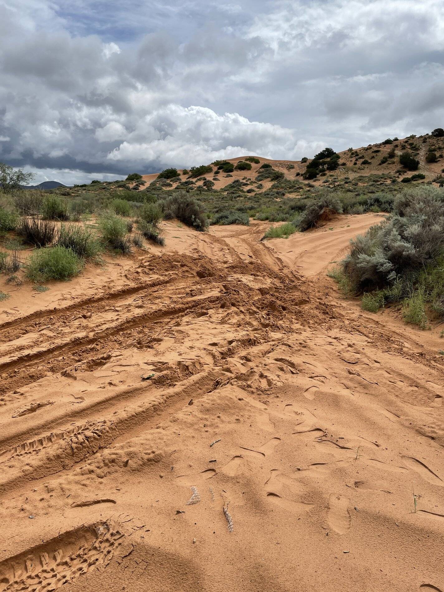 Ford Bronco Sport 1.5l Bronco Sport in the sand? B9C21FA2-11AE-47F2-87A1-FC952D41971C