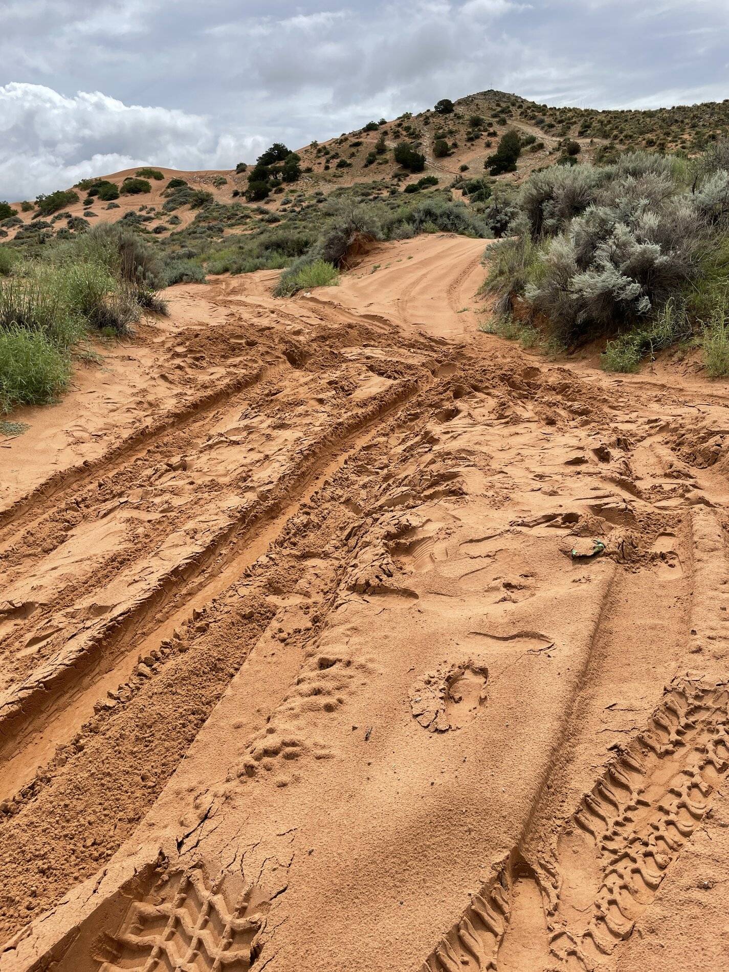 Ford Bronco Sport 1.5l Bronco Sport in the sand? 114D89D0-9640-42E1-93DC-157F63F633CE