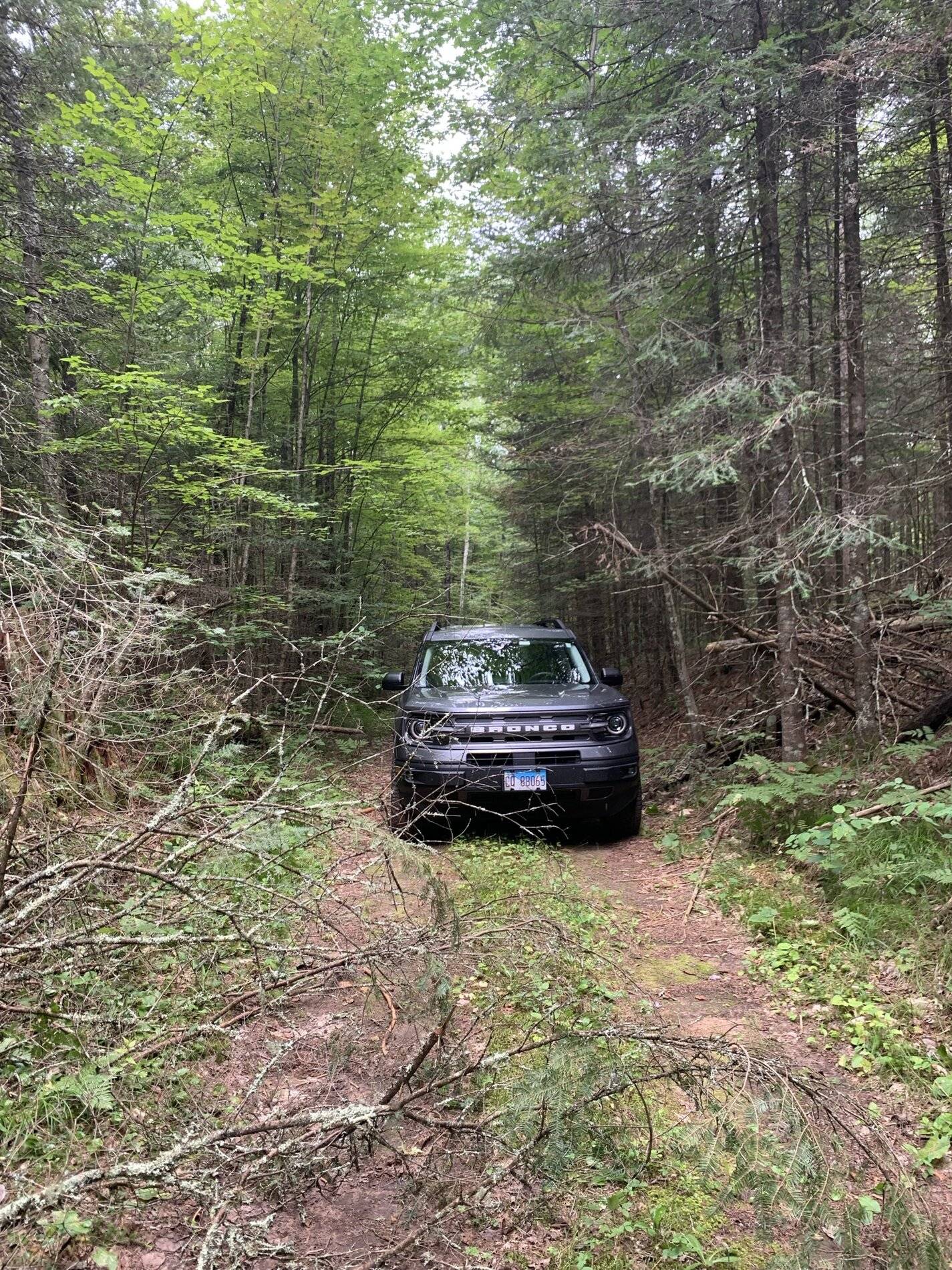 Ford Bronco Sport Trail Driving Northern Wisconsin in a Bronco Sport Big Bend - Pics, Video, and Build 3763573B-B861-4EC2-A83F-9F85D5975676
