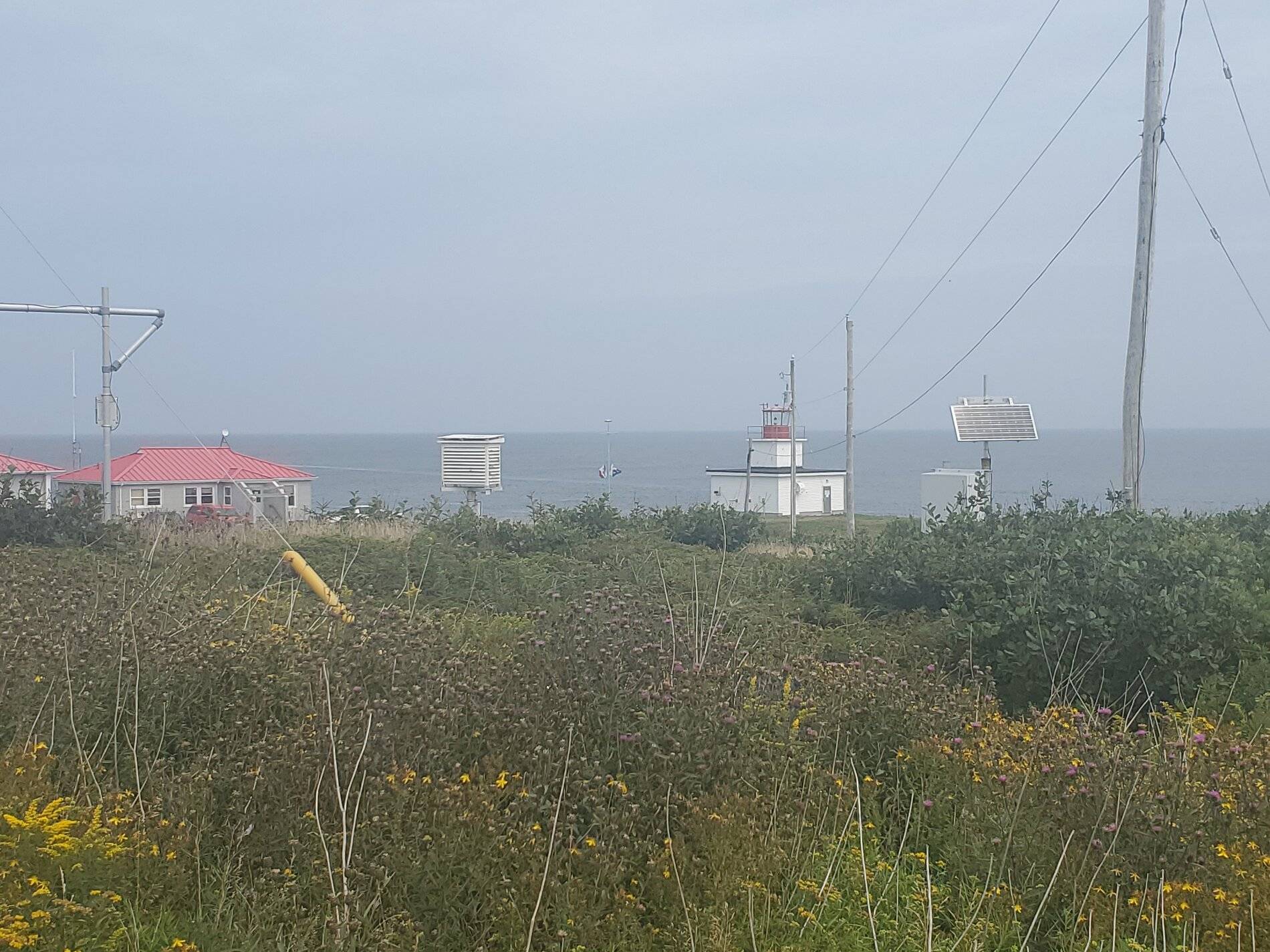 Ford Bronco Sport Post the best photos you've got of your Bronco Sport 20210818_113137