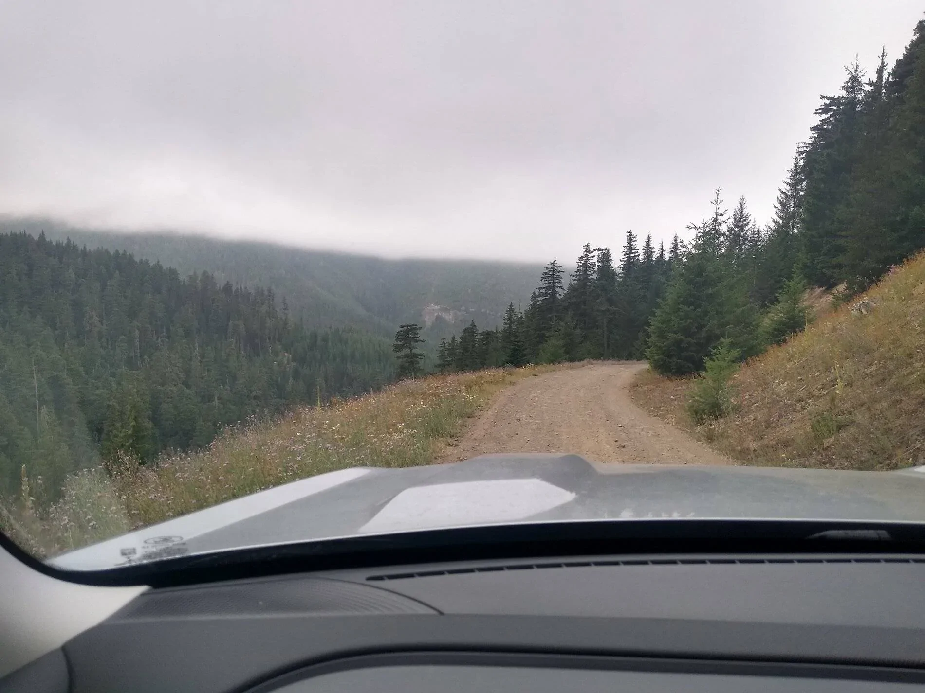 Ford Bronco Sport First time going off-road IMG_20210820_180838703_HDR