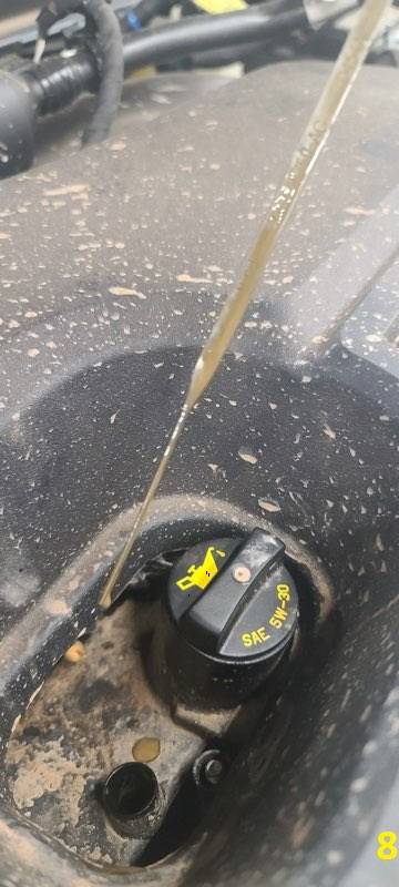 Ford Bronco Sport Our Bronco Sport either needs engine replacement or may be total loss...and the water barely reached the front bumper. For Parts, For Scrap, For Sale? Bronco8