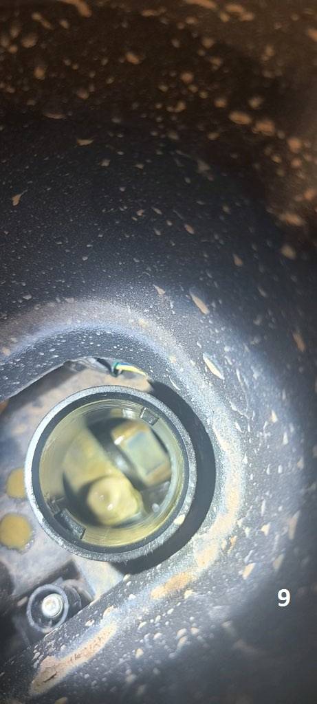 Ford Bronco Sport Our Bronco Sport either needs engine replacement or may be total loss...and the water barely reached the front bumper. For Parts, For Scrap, For Sale? Bronco9