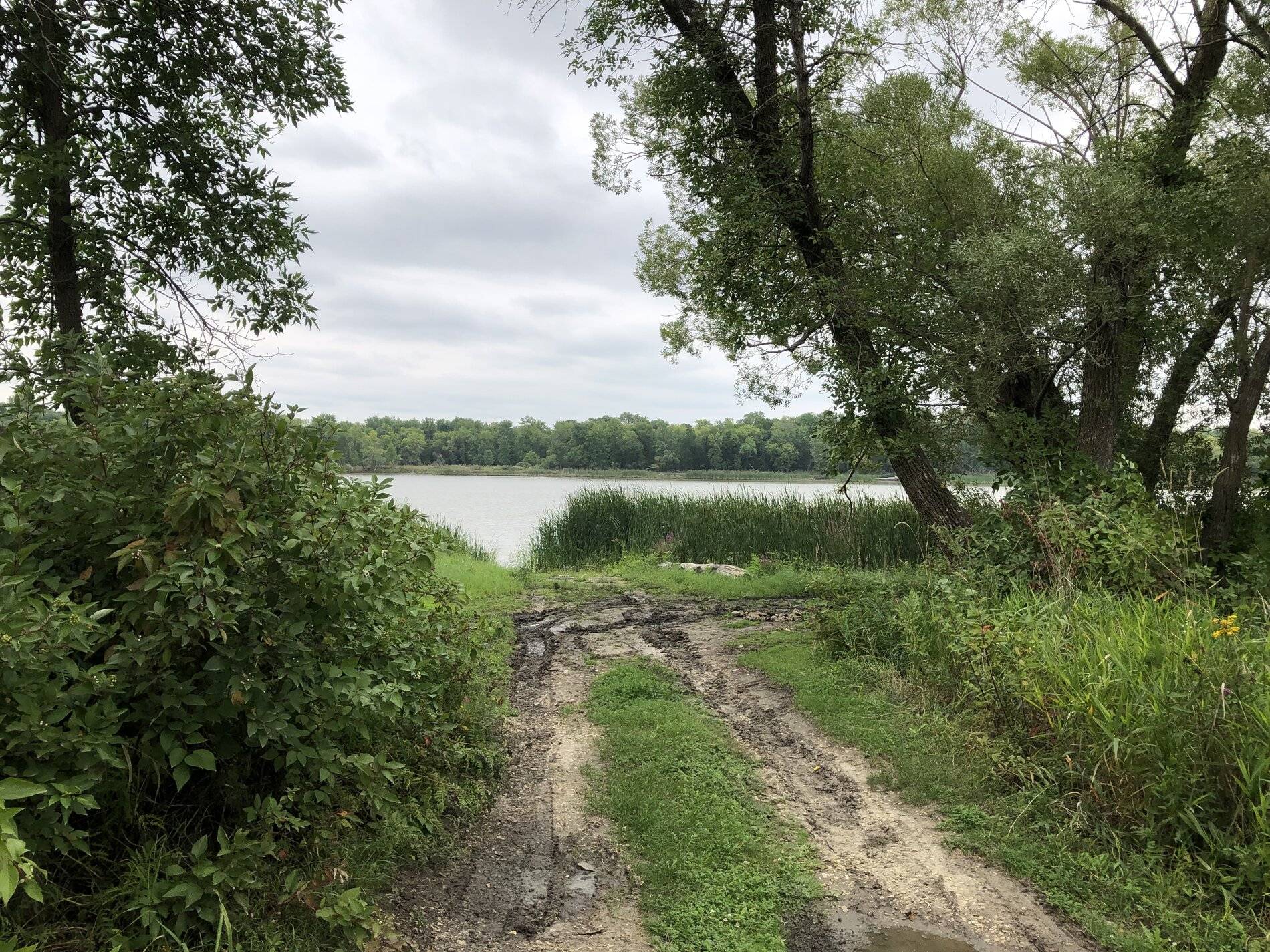 Ford Bronco Sport What did you do TO your Bronco Sport today? A5E71C5E-C43D-4796-B133-CCB5F8A69012