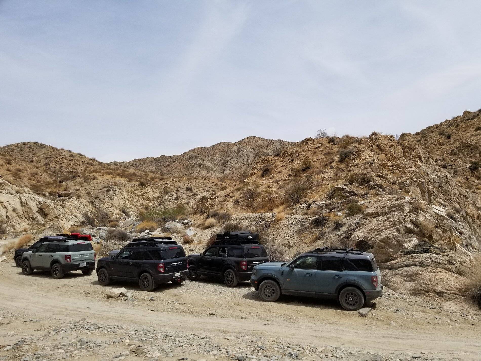 Ford Bronco Sport Post the best photos you've got of your Bronco Sport 20210501_141252(0)