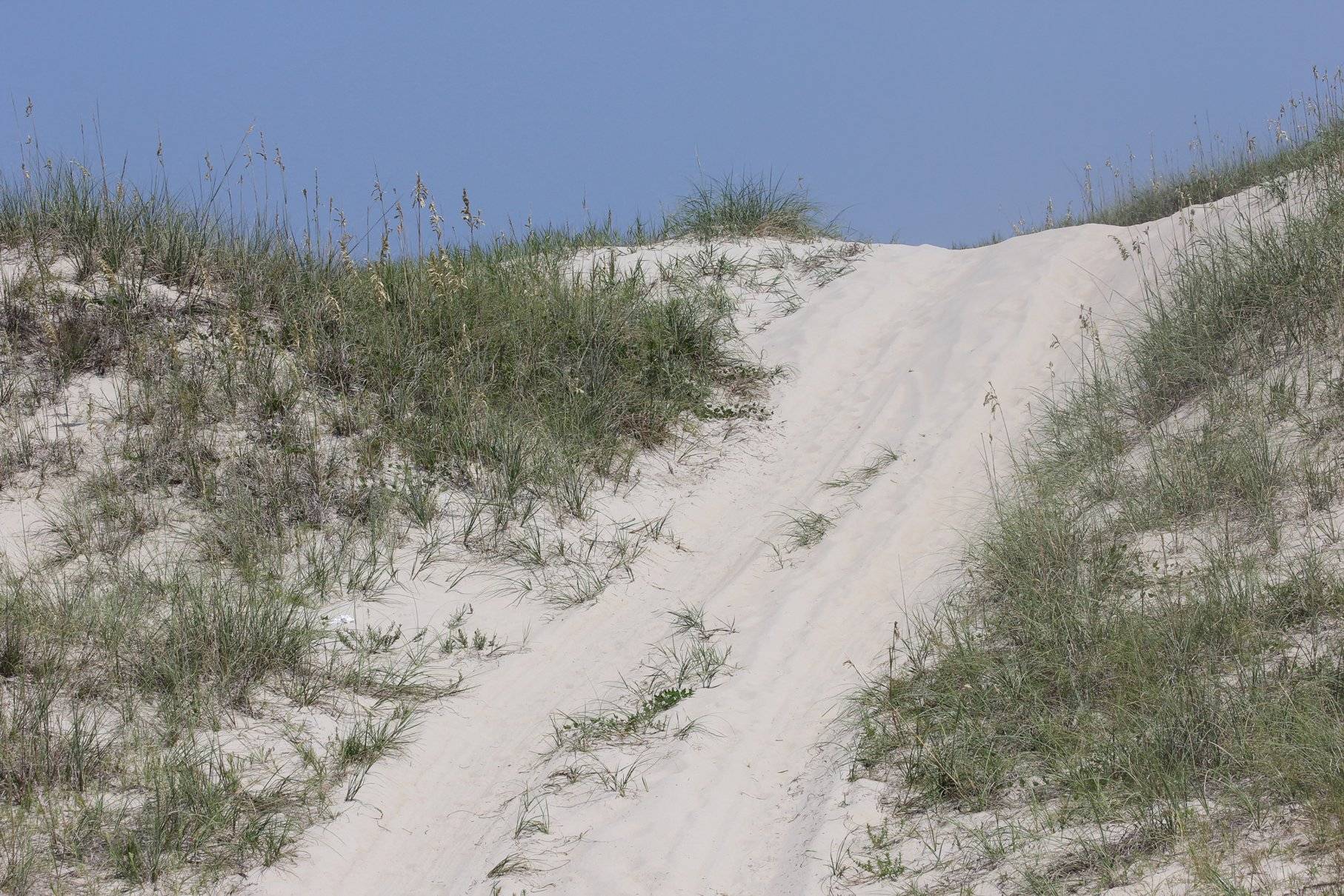 Ford Bronco Sport Bronco Sport at OBX jimcar1
