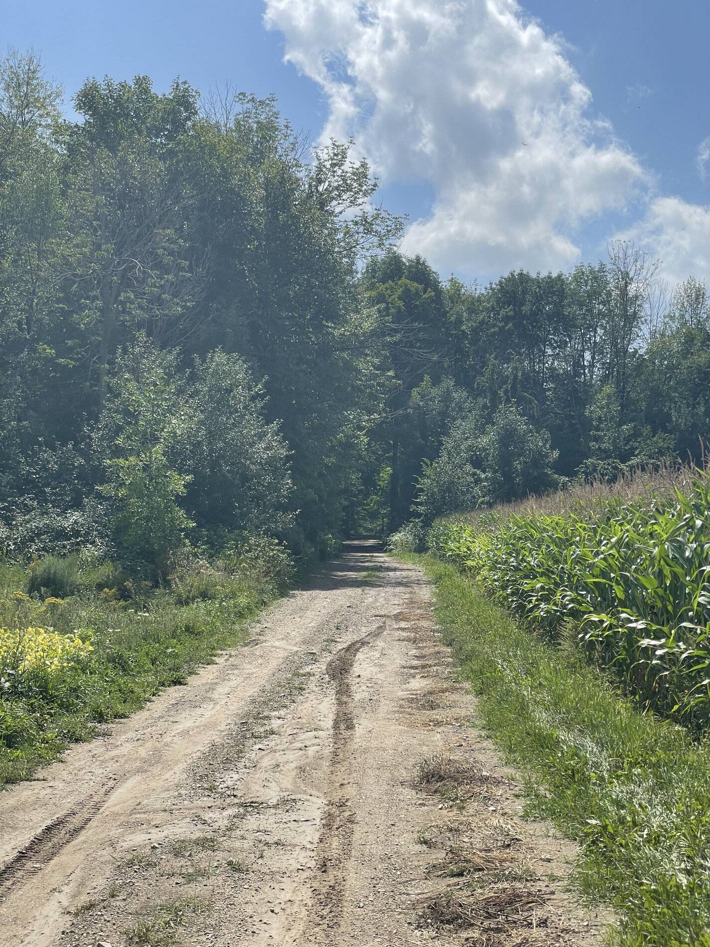 Ford Bronco Sport Had some fun today bad roading. EDF7A919-0C60-46E1-98EC-2181C14AA736