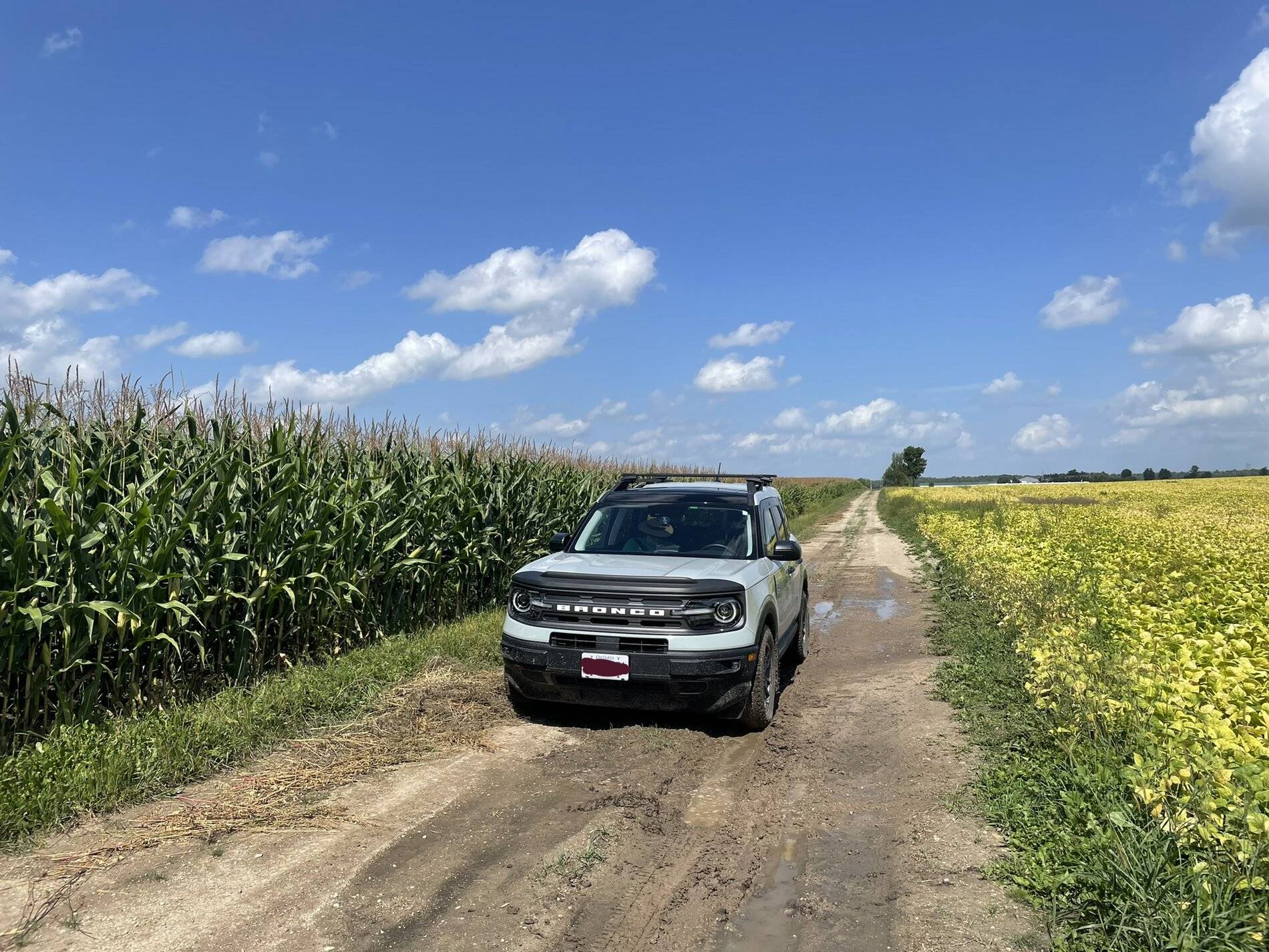 Ford Bronco Sport Had some fun today bad roading. 7BCE2666-1A8D-4AE4-A6D8-8B69306E3D51
