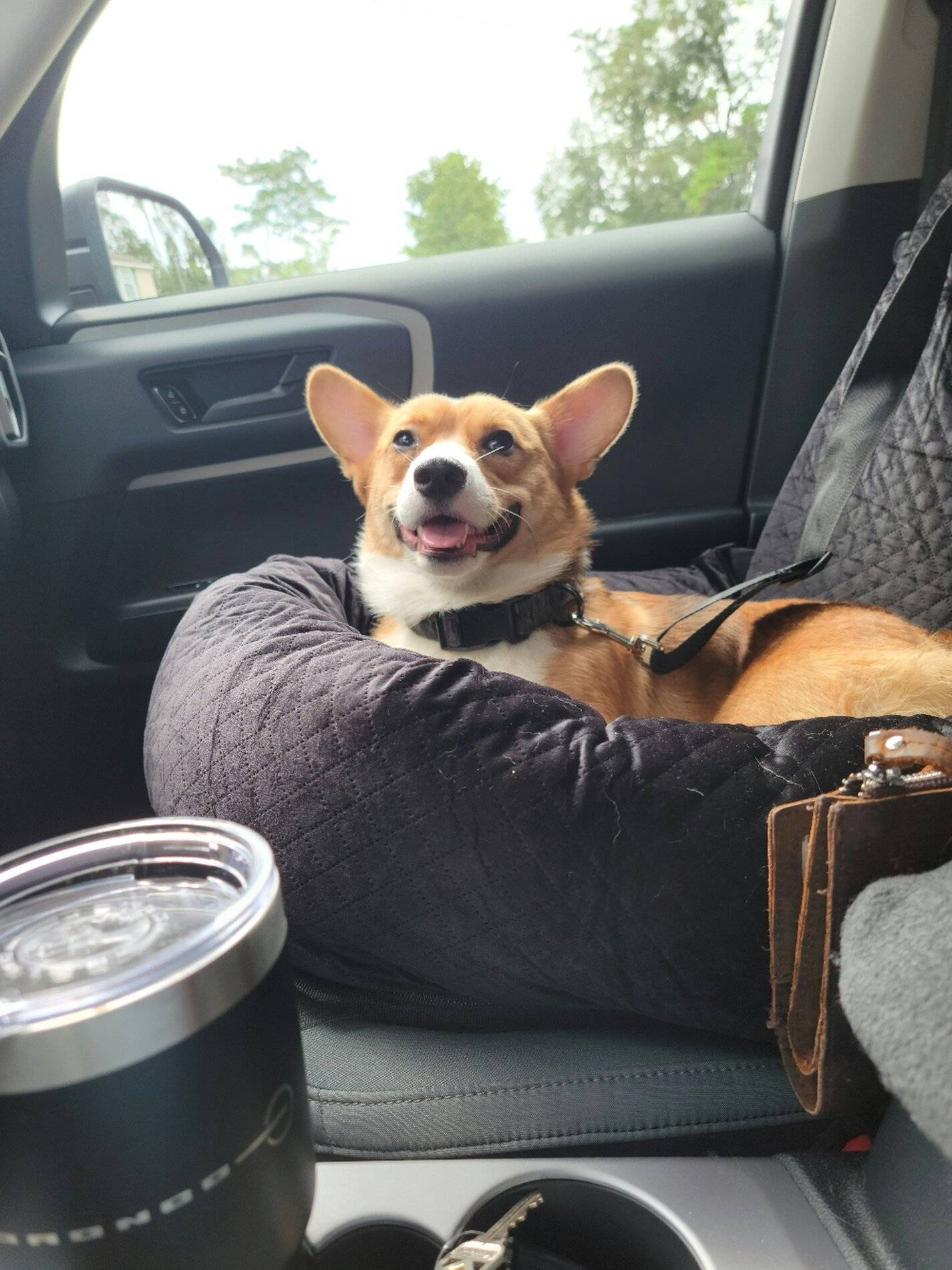 Ford Bronco Sport Rooftop Tent or Sleeping Inside 20210901_181019