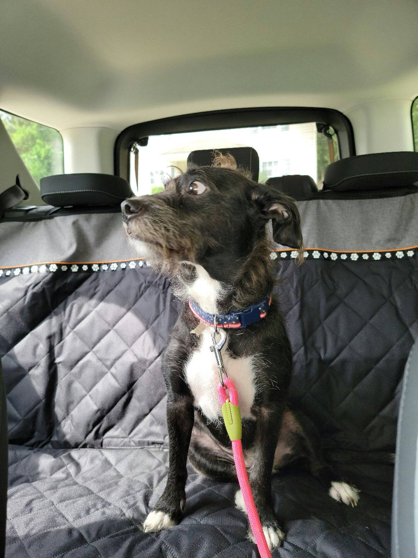 Ford Bronco Sport Rooftop Tent or Sleeping Inside 20210901_180926