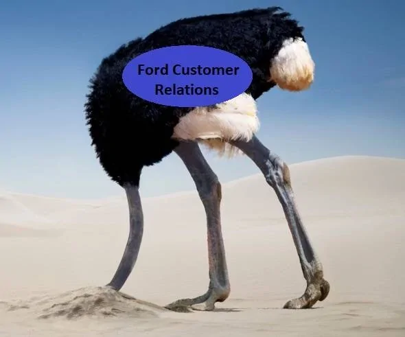 Ford Bronco Sport June Builds sitting in the Mexican Desert Head In Sand