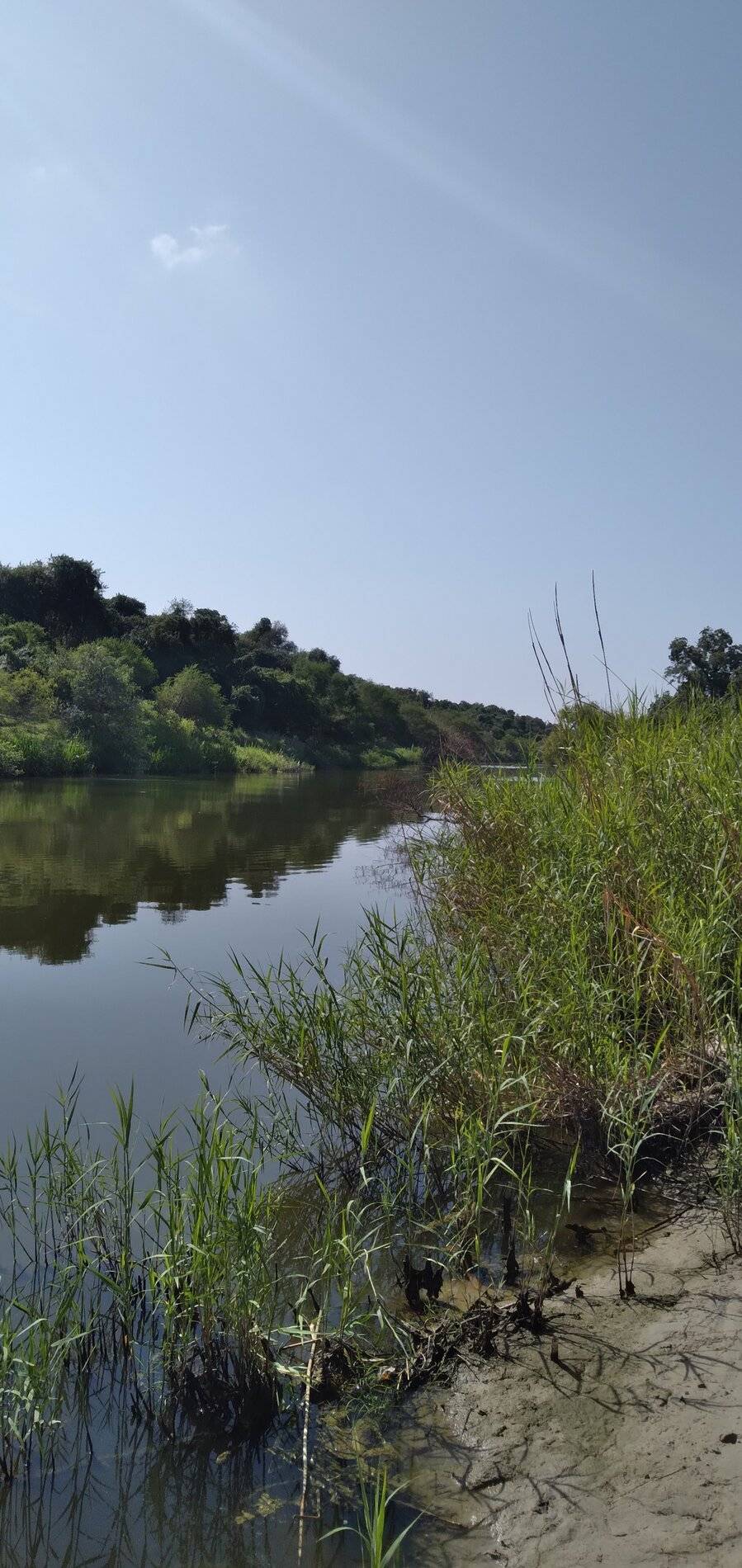 Ford Bronco Sport Post the best photos you've got of your Bronco Sport 20210906_103737