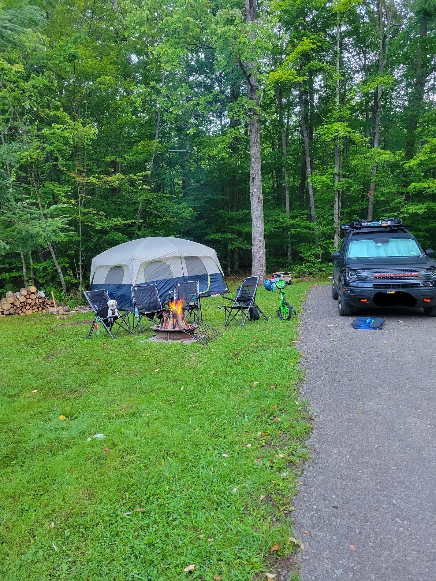 Ford Bronco Sport What did you do TO your Bronco Sport today? 20210904_064154