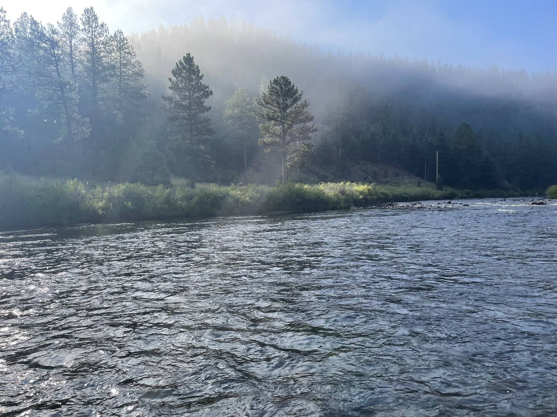 Ford Bronco Sport WHERE did you go with your Bronco Sport today? 8C081F76-C063-4E5A-8661-DE4F1C415450