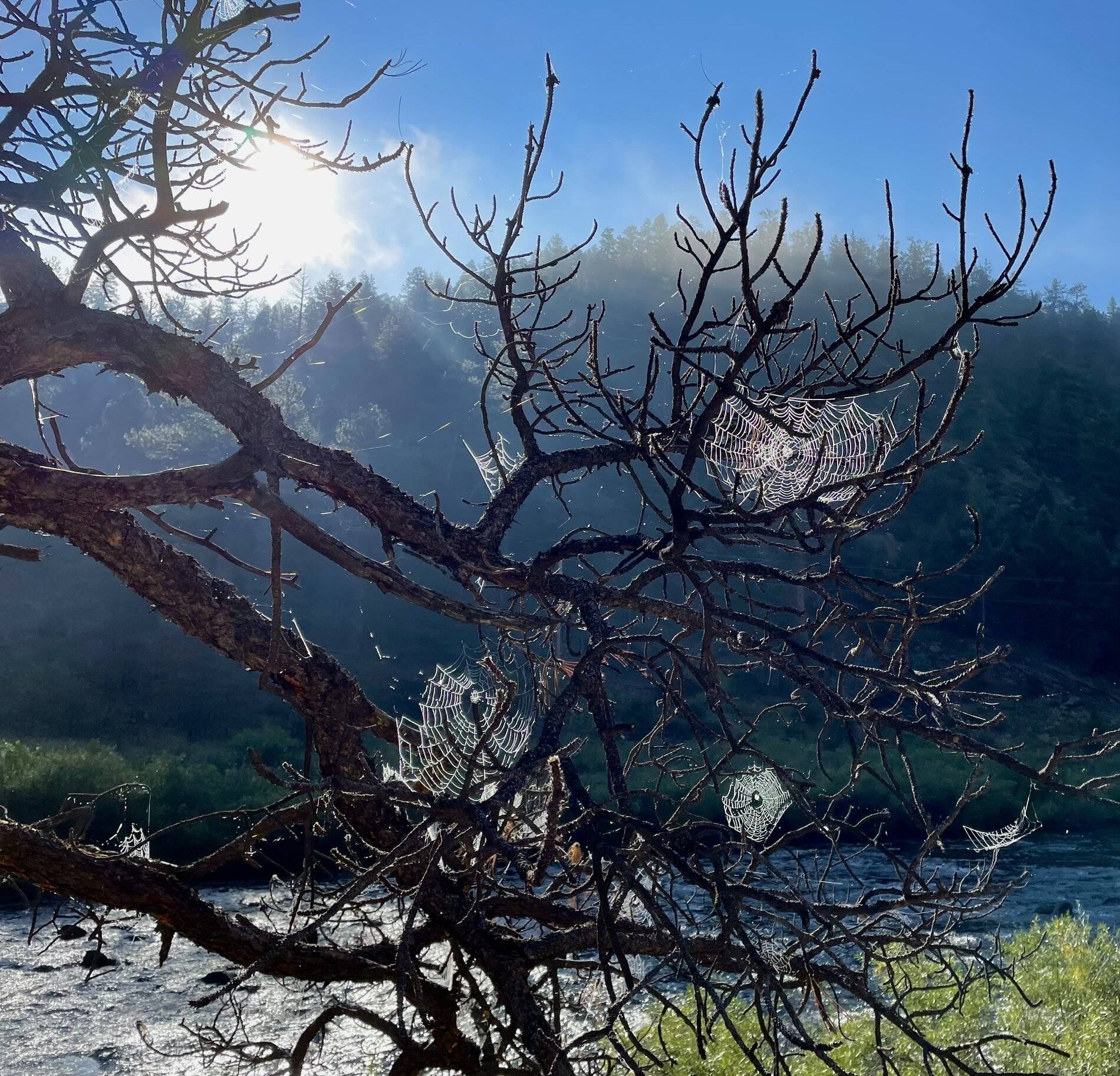 Ford Bronco Sport WHERE did you go with your Bronco Sport today? 6BC17D94-9D1F-4C29-B16E-50939E4CBFFA