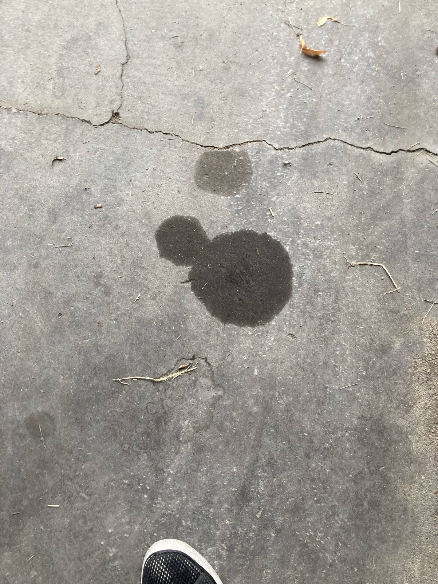 Ford Bronco Sport Rear diff seepage / leak C4330EA9-26EA-4E78-9FCF-9121E266D63D