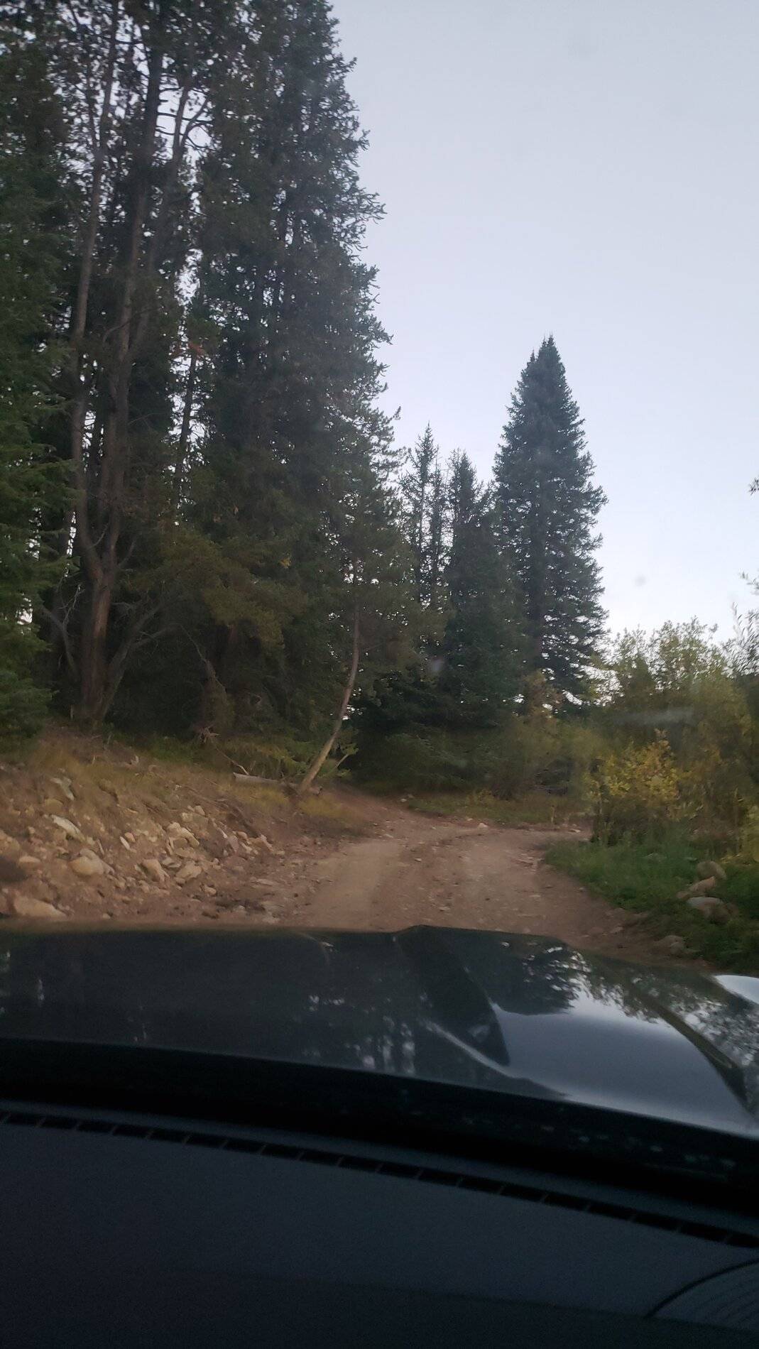 Ford Bronco Sport Vacation in Colorado (Indiana Creek Road) 20210906_193209