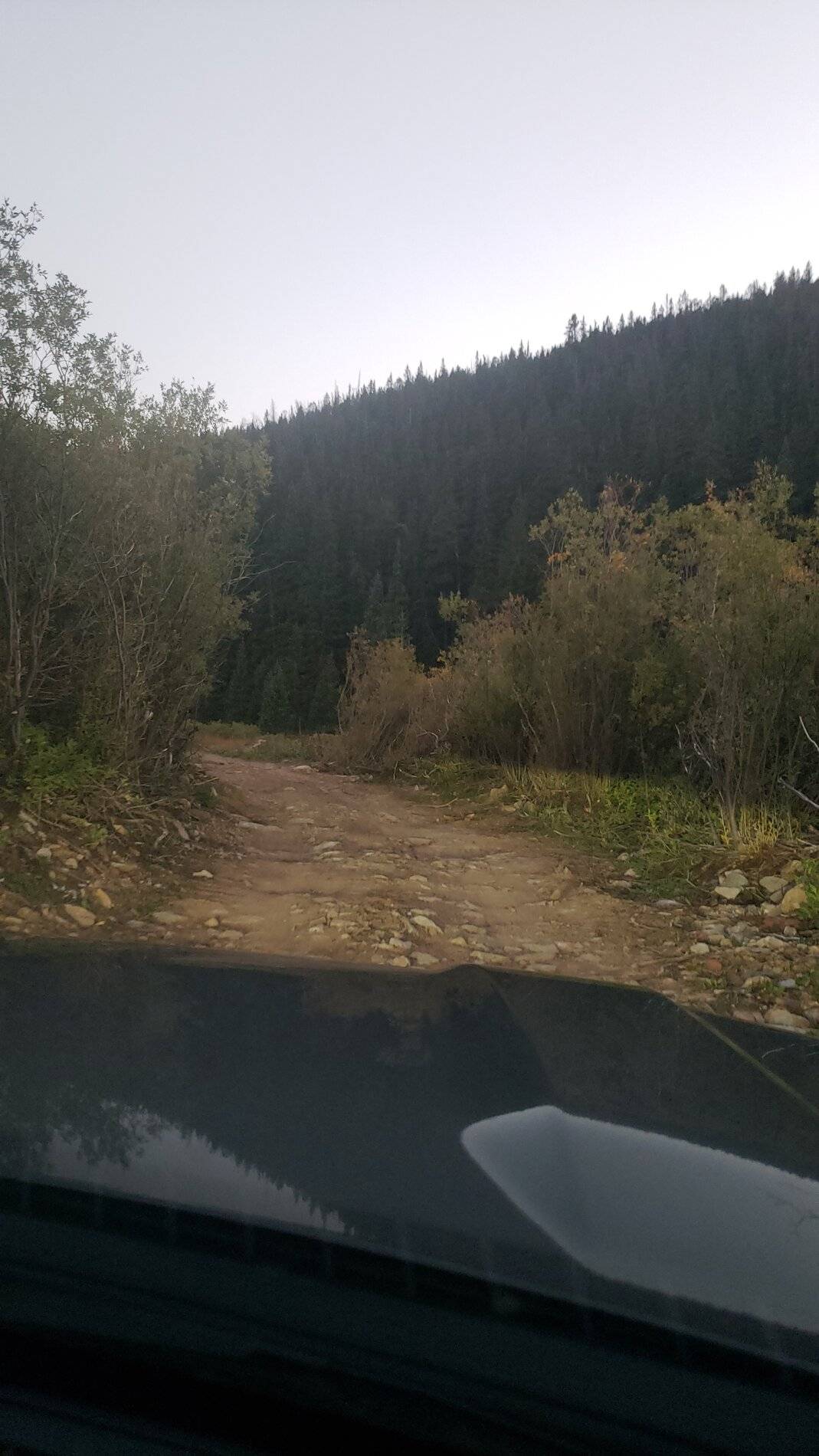 Ford Bronco Sport Vacation in Colorado (Indiana Creek Road) 20210906_193259