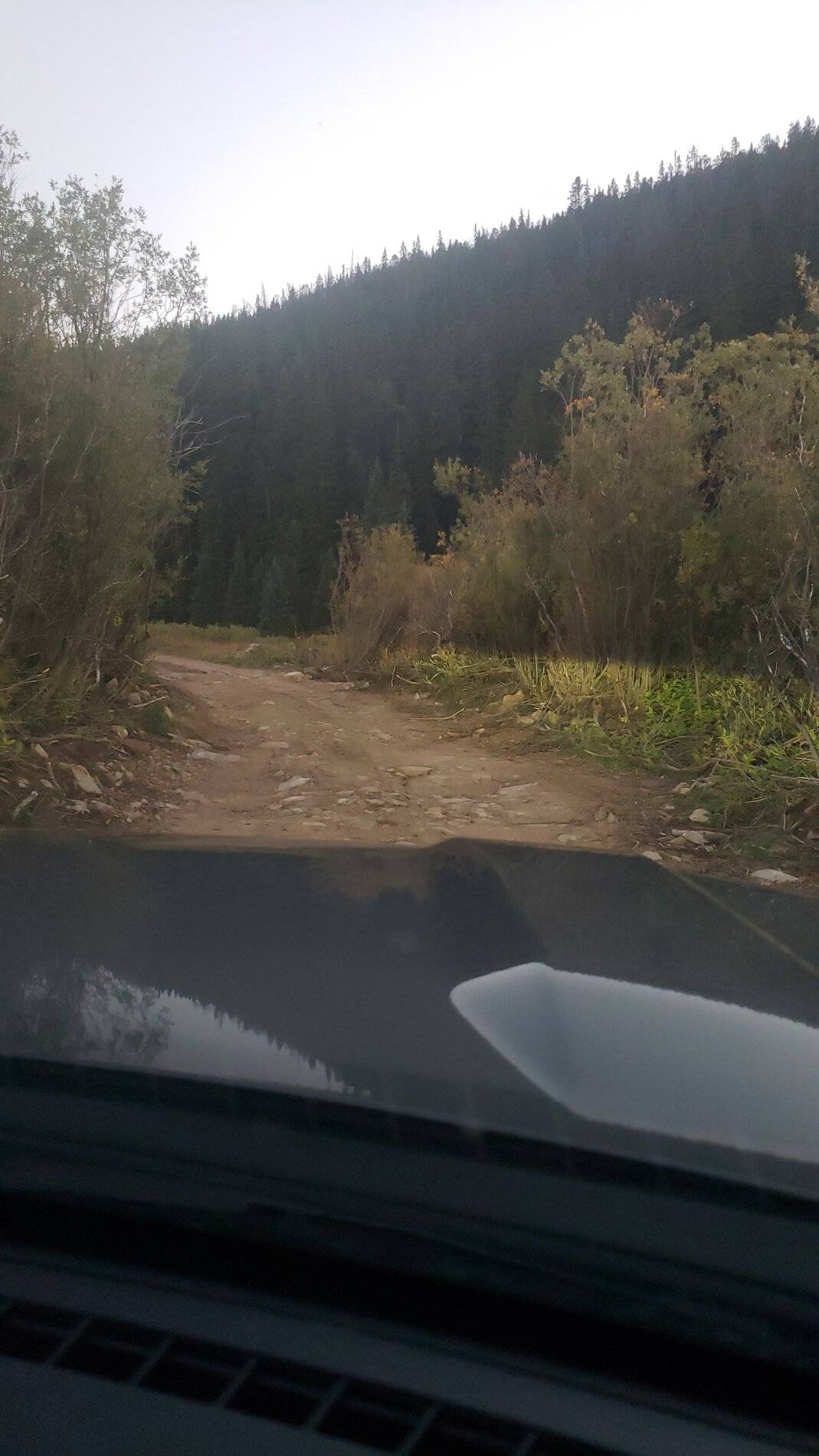 Ford Bronco Sport Vacation in Colorado (Indiana Creek Road) 20210906_193310