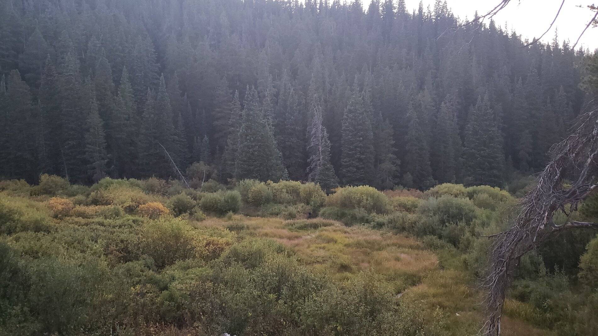 Ford Bronco Sport Vacation in Colorado (Indiana Creek Road) 20210906_194048