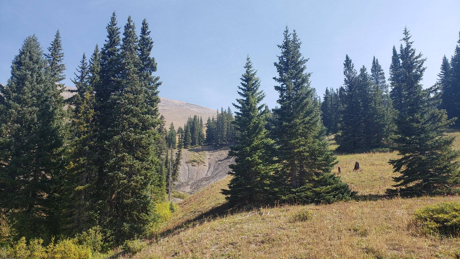Ford Bronco Sport Vacation in Colorado (Boreas Pass) 20210907_110818