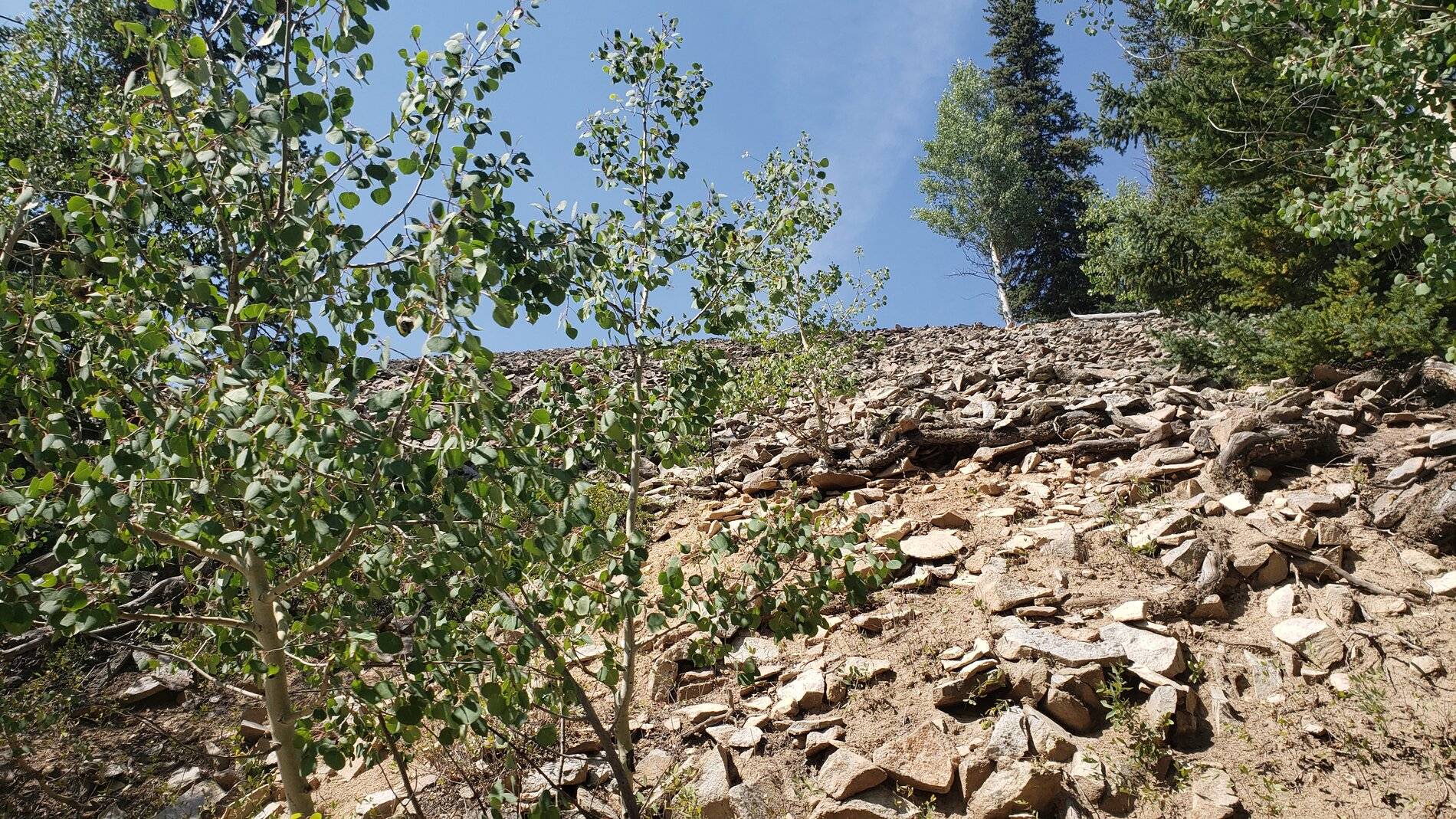 Ford Bronco Sport Vacation in Colorado (Boreas Pass) 20210907_120738