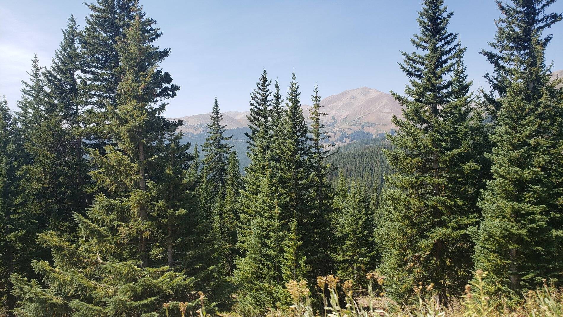Ford Bronco Sport Vacation in Colorado (Boreas Pass) 20210907_114648