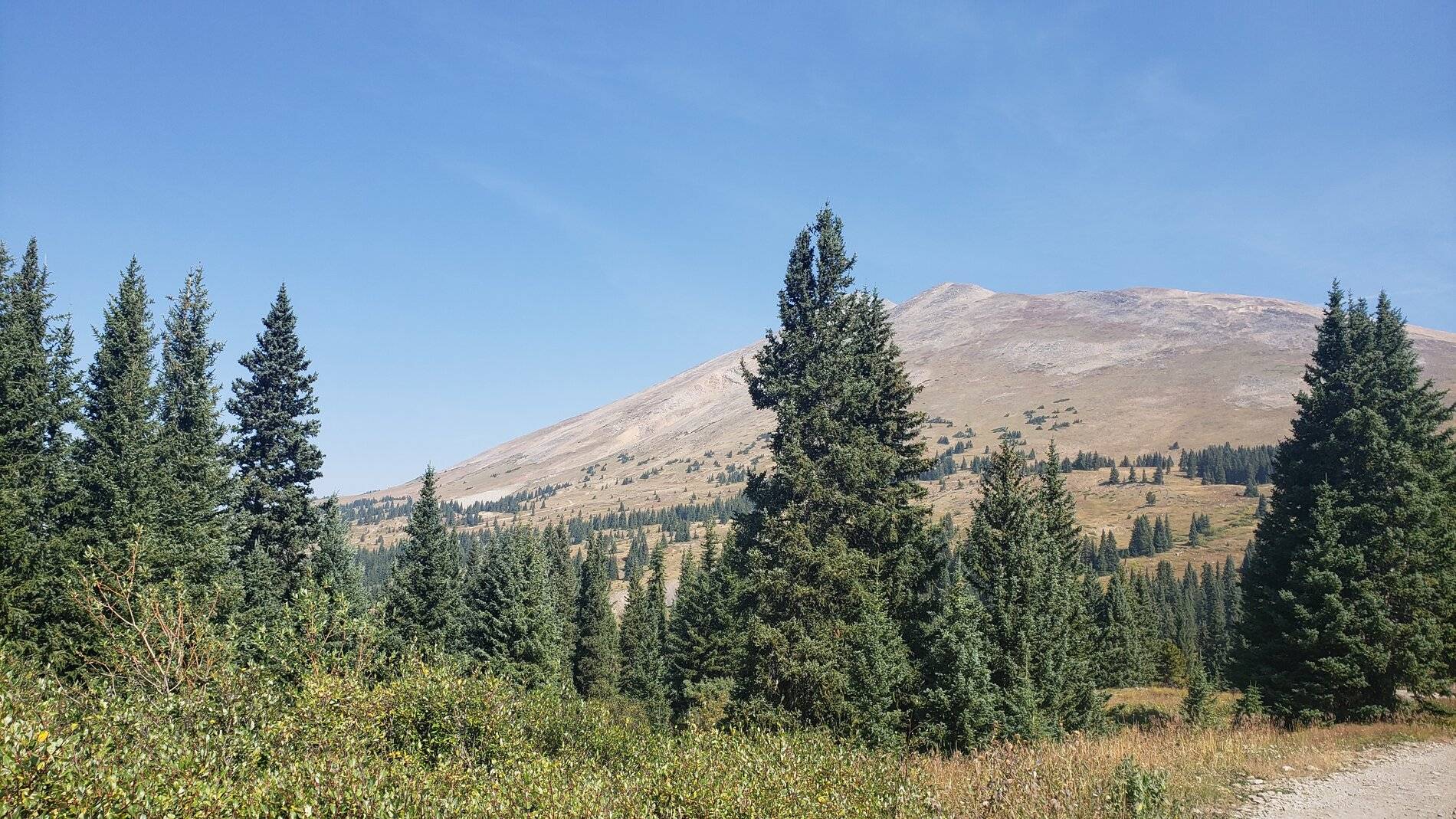 Ford Bronco Sport Vacation in Colorado (Boreas Pass) 20210907_111132
