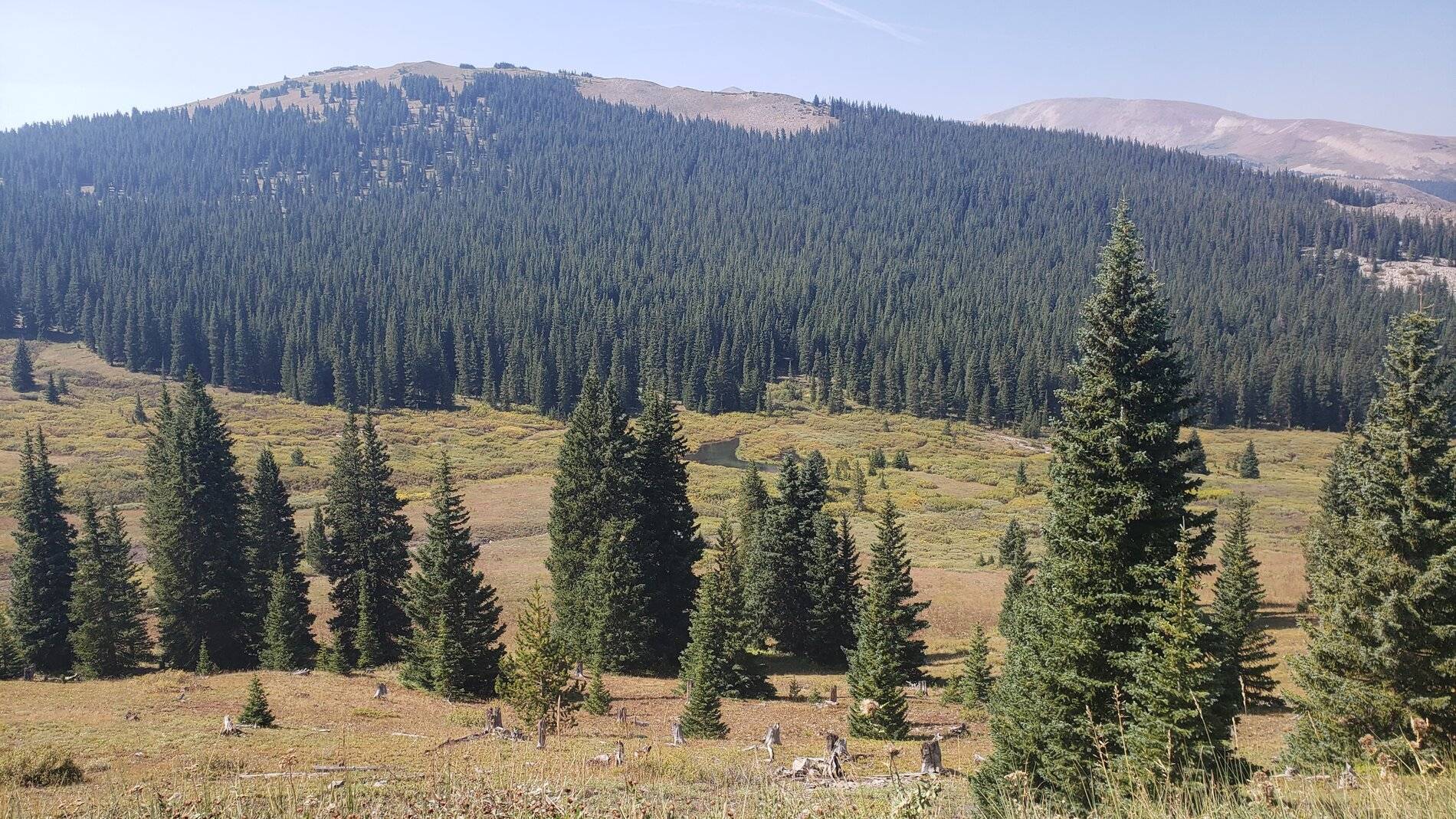 Ford Bronco Sport Vacation in Colorado (Boreas Pass) 20210907_110713