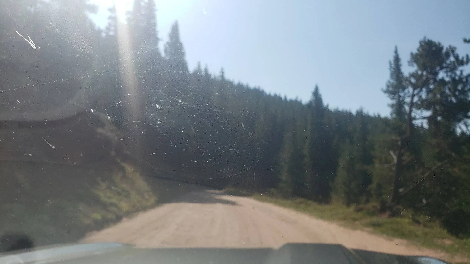 Ford Bronco Sport Vacation in Colorado (Boreas Pass) 20210907_103805