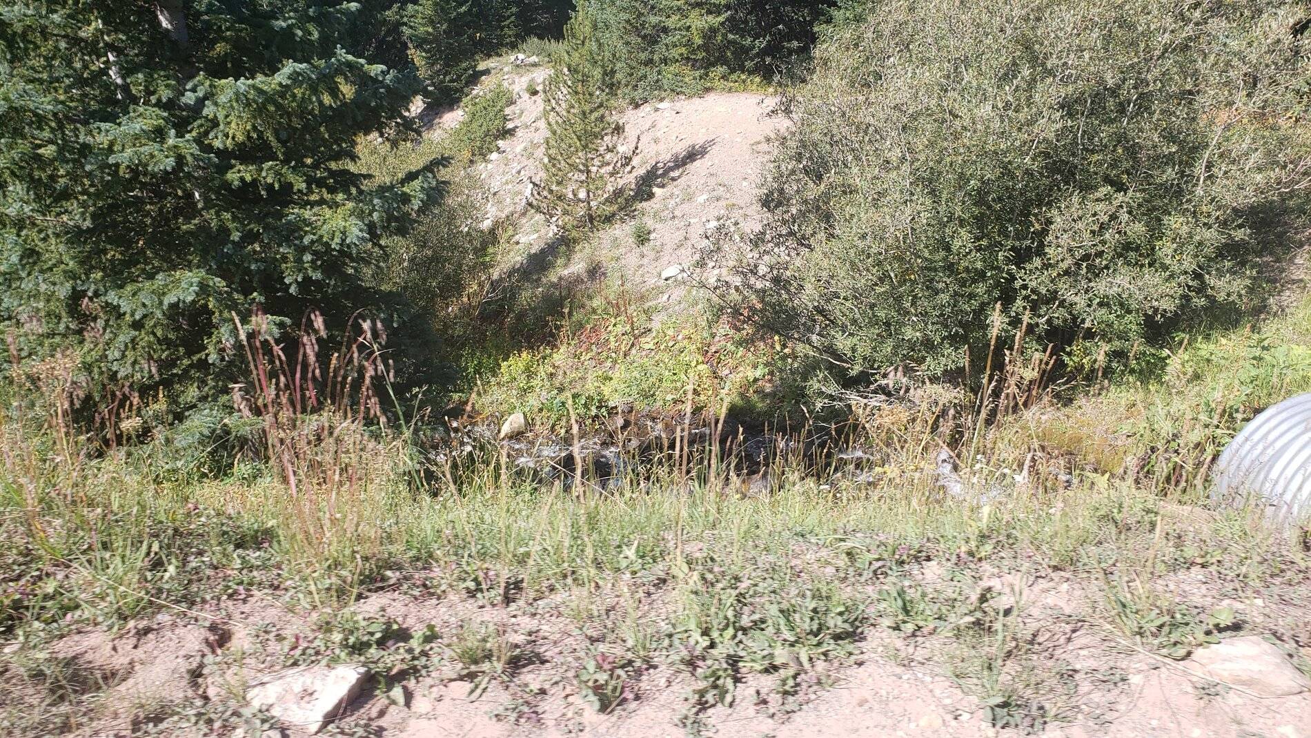 Ford Bronco Sport Vacation in Colorado (Boreas Pass) 20210907_105201