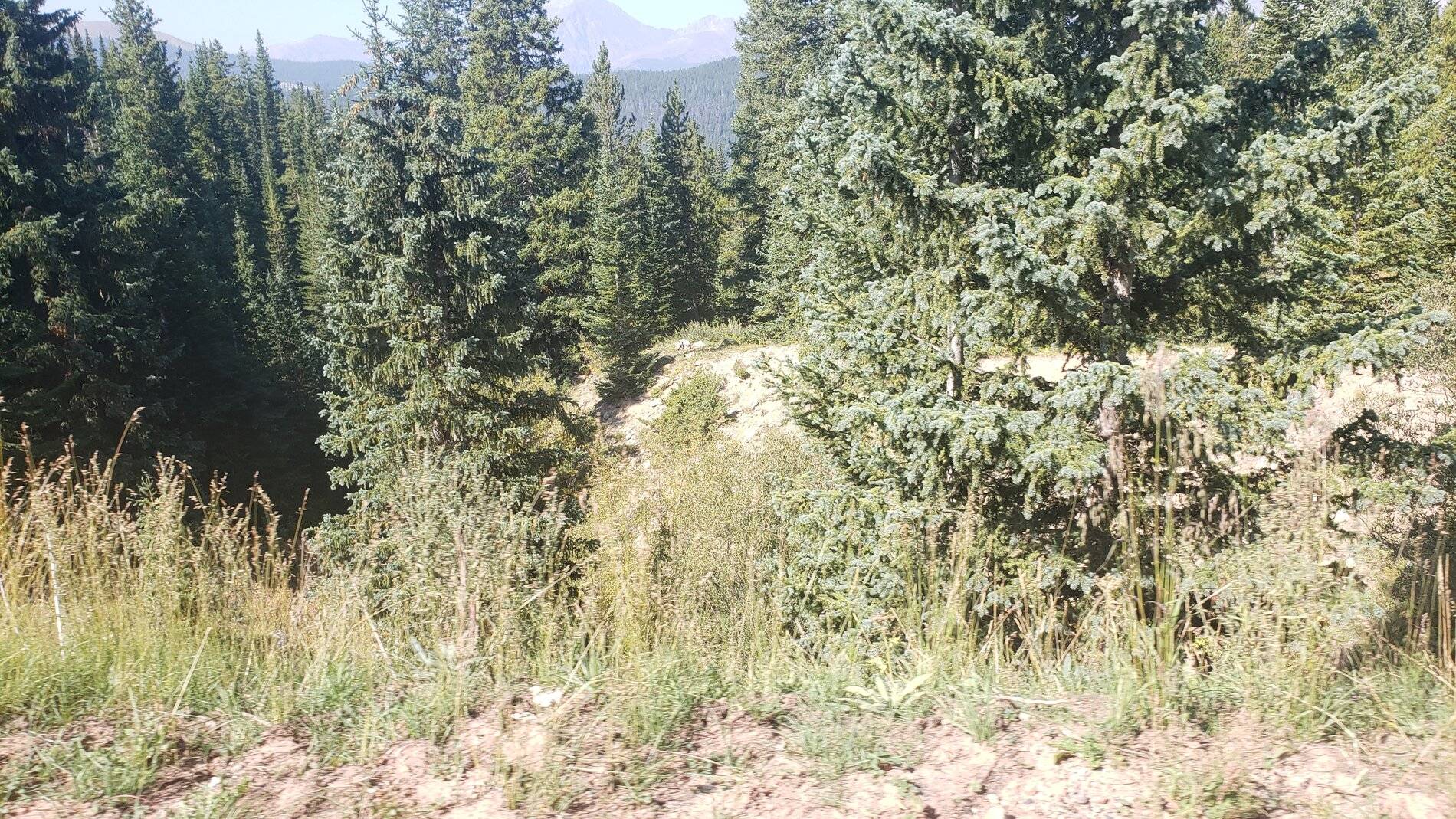 Ford Bronco Sport Vacation in Colorado (Boreas Pass) 20210907_105203