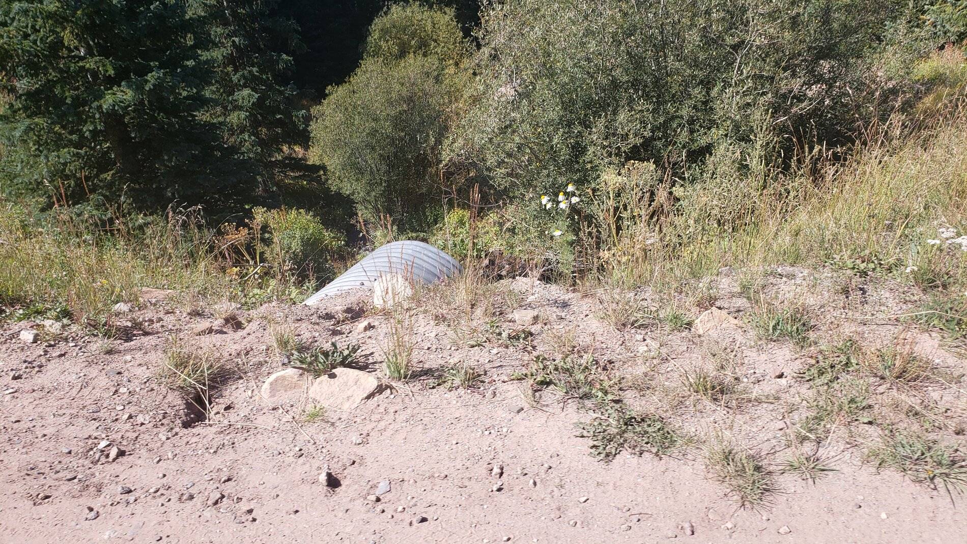 Ford Bronco Sport Vacation in Colorado (Boreas Pass) 20210907_105200