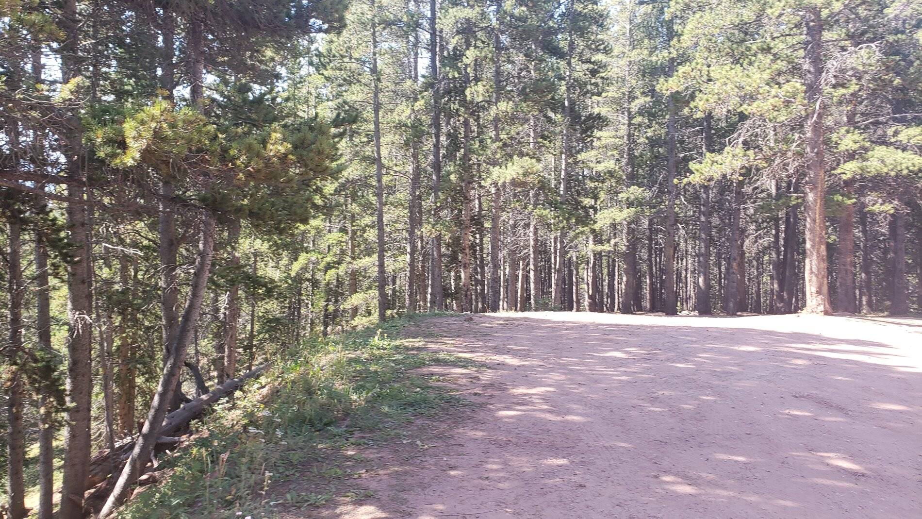 Ford Bronco Sport Vacation in Colorado (Boreas Pass) 20210907_104456