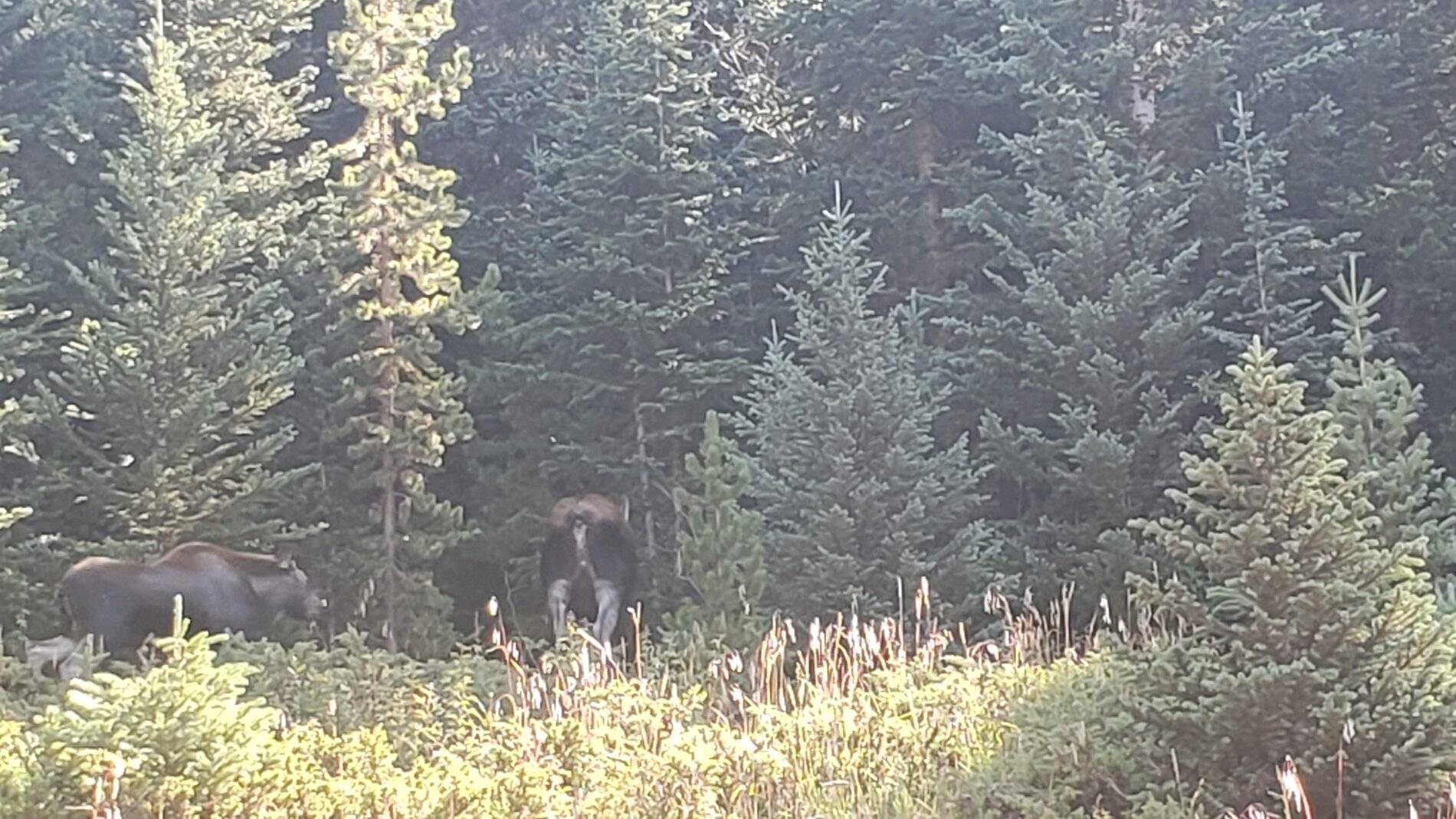 Ford Bronco Sport Vacation in Colorado (Boreas Pass) 20210907_104231