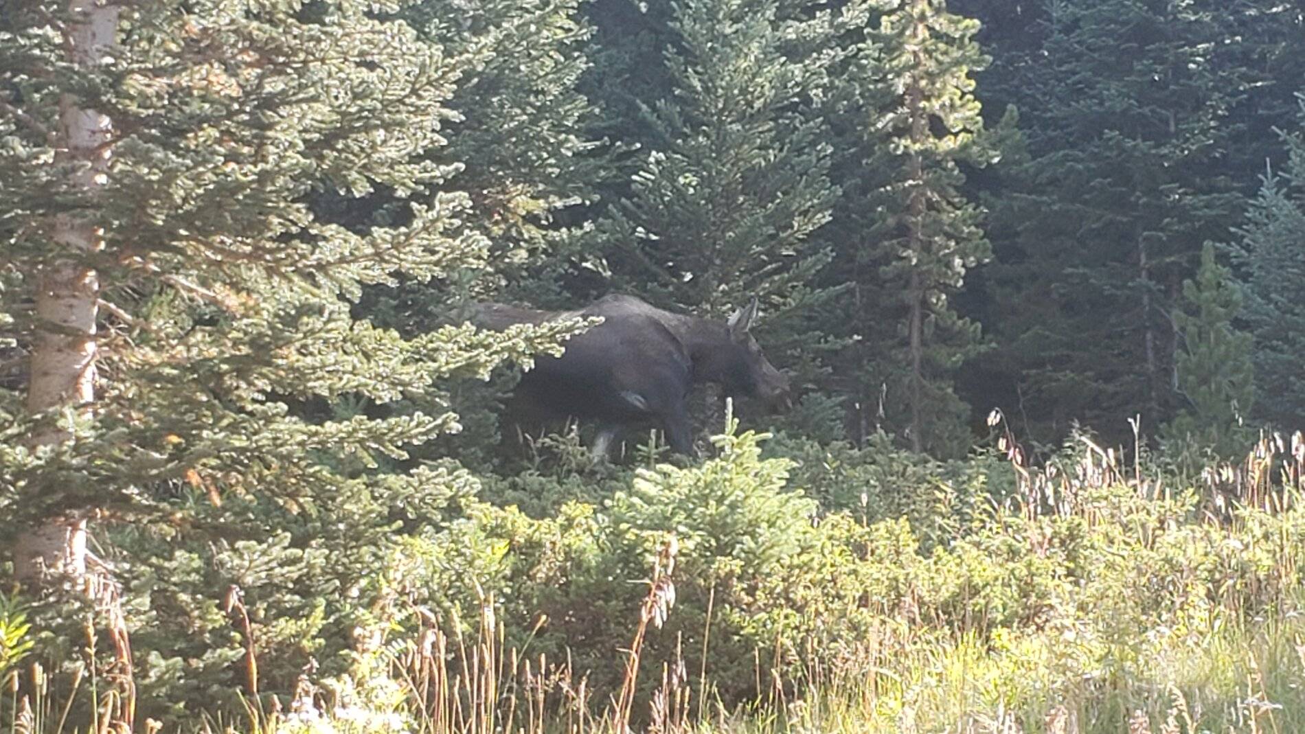 Ford Bronco Sport Vacation in Colorado (Boreas Pass) 20210907_104225