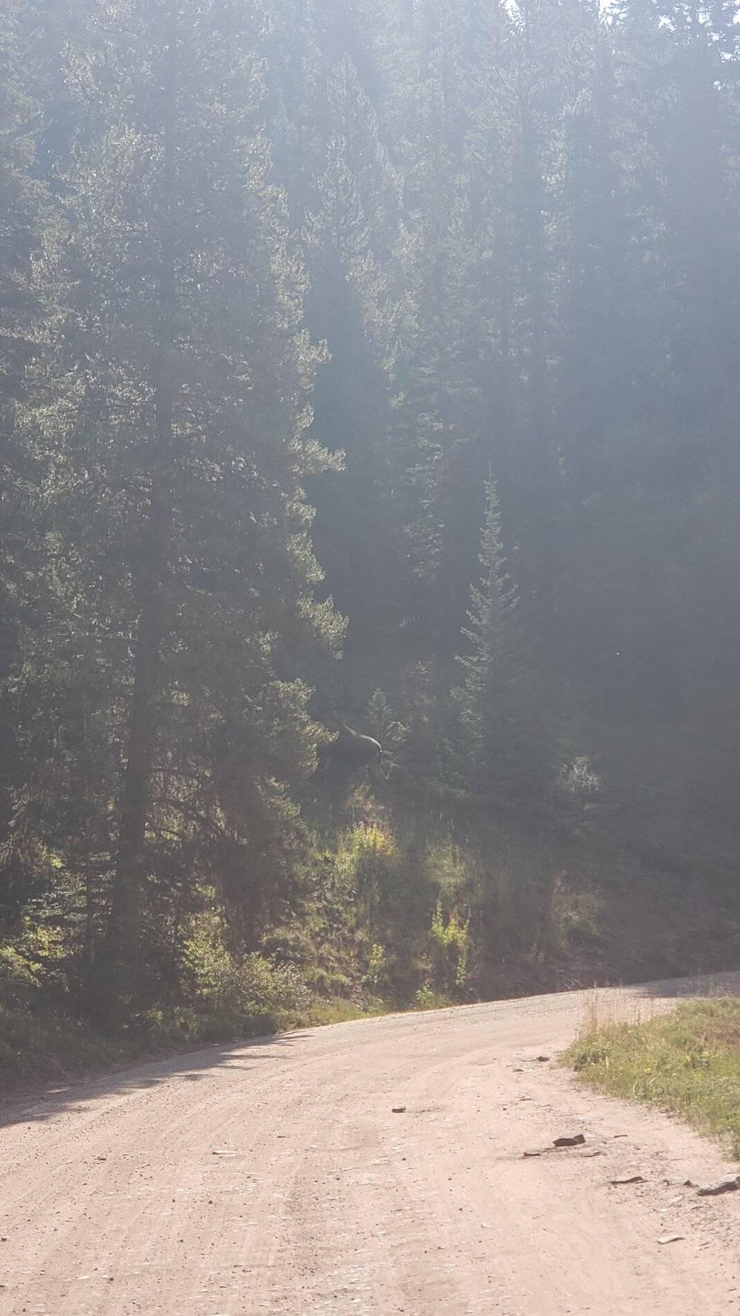 Ford Bronco Sport Vacation in Colorado (Boreas Pass) 20210907_104125