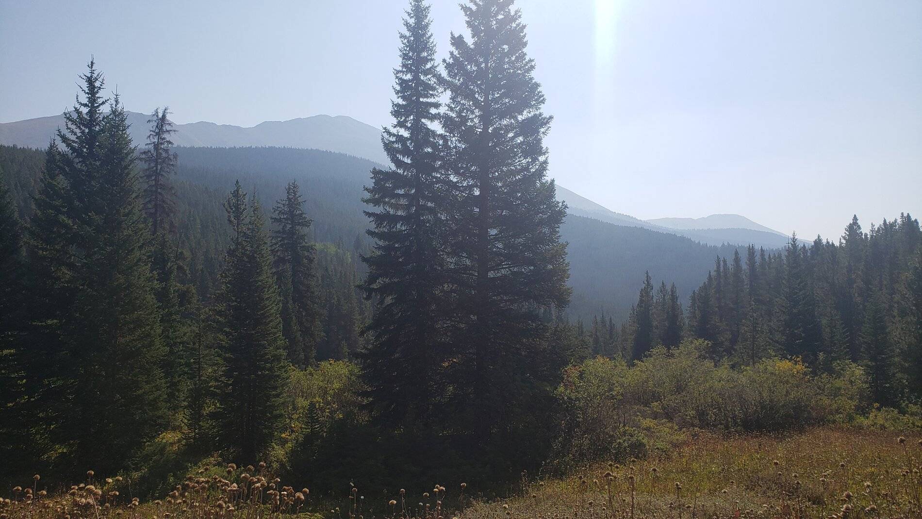 Ford Bronco Sport Vacation in Colorado (Boreas Pass) 20210907_103356