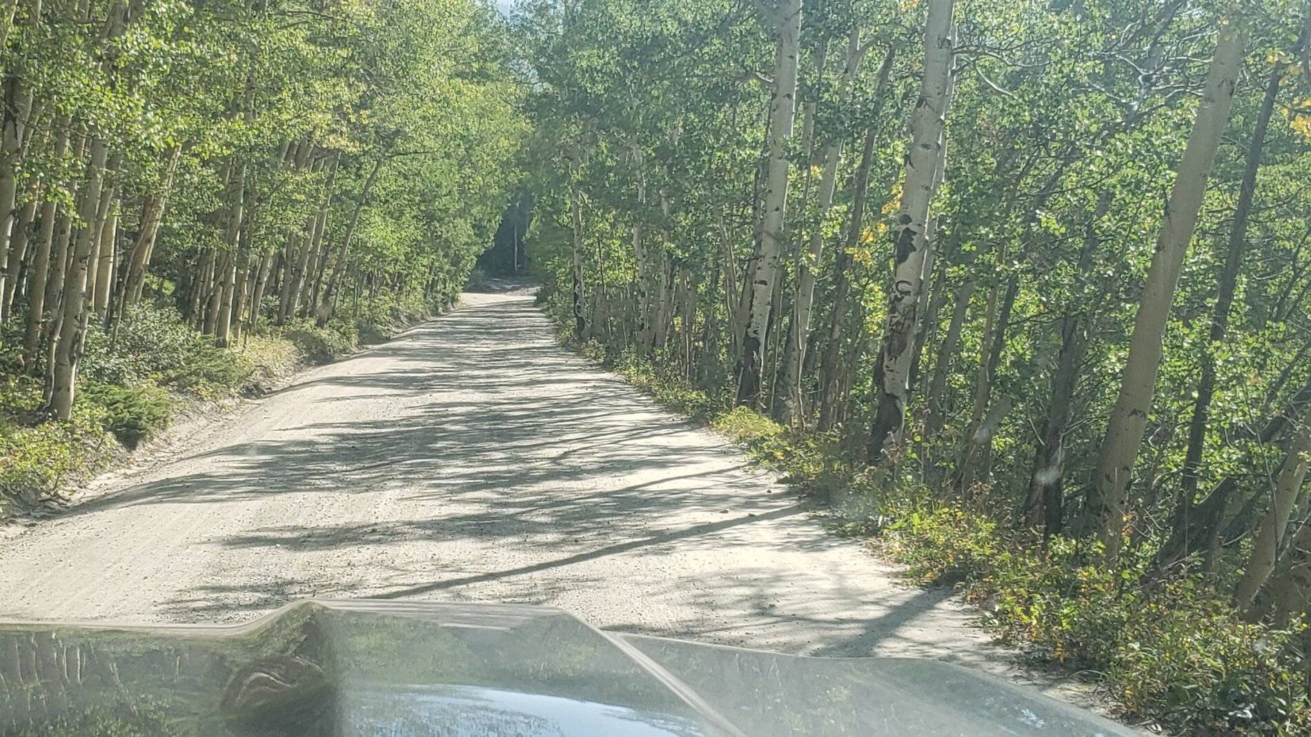 Ford Bronco Sport Vacation in Colorado (Boreas Pass) 20210907_103249