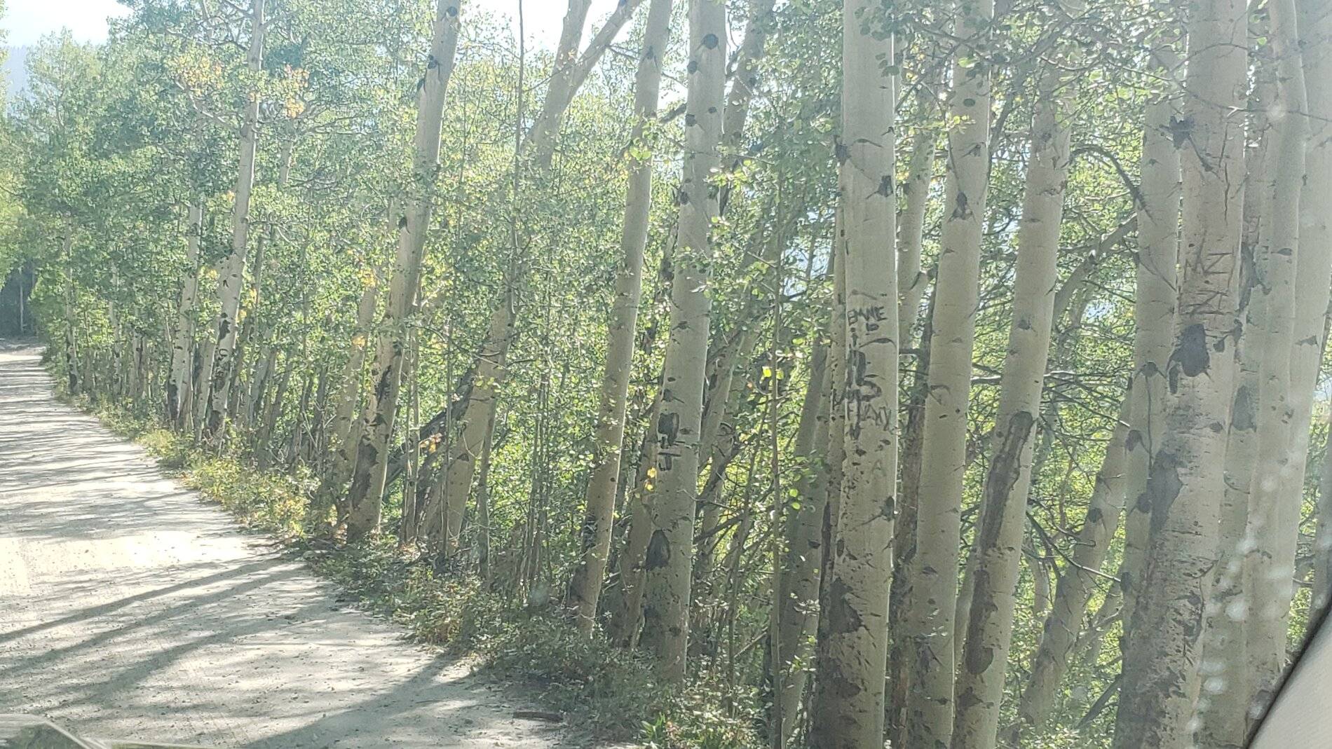 Ford Bronco Sport Vacation in Colorado (Boreas Pass) 20210907_103246