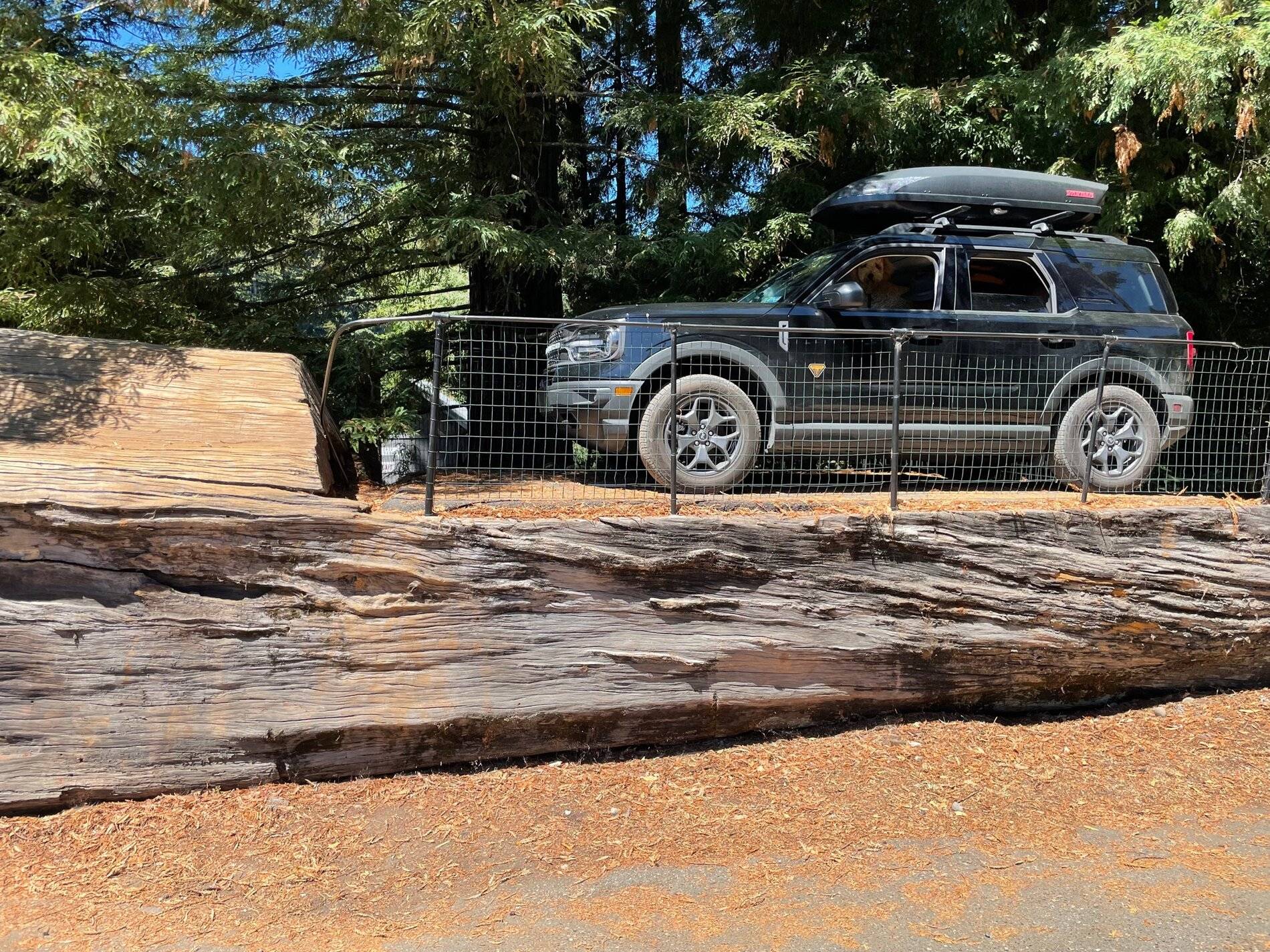 Ford Bronco Sport Cross-Country Road Trip Completed in Badlands Bronco Sport IMG_3245