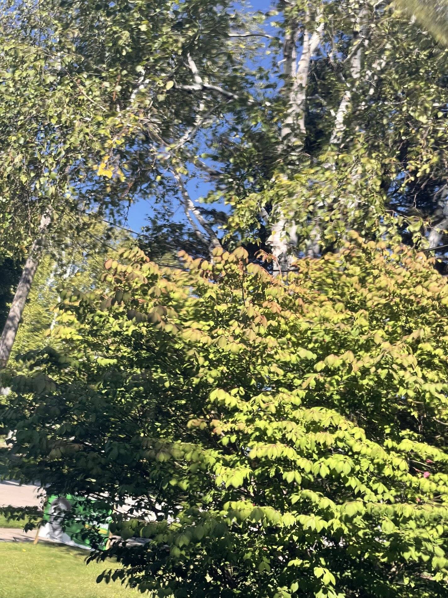 Ford Bronco Sport Scratched black piano trim 6B231A18-230D-4AA6-8951-3358E11623AA