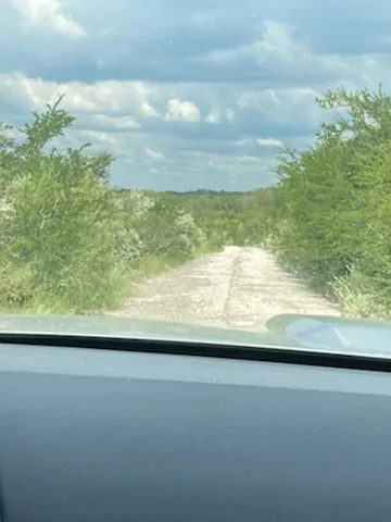 Ford Bronco Sport Random S Texas IMG_9232