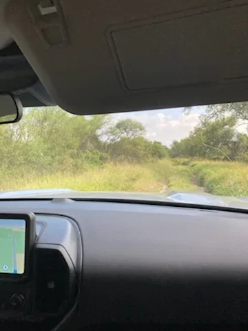 Ford Bronco Sport Random S Texas IMG_9224