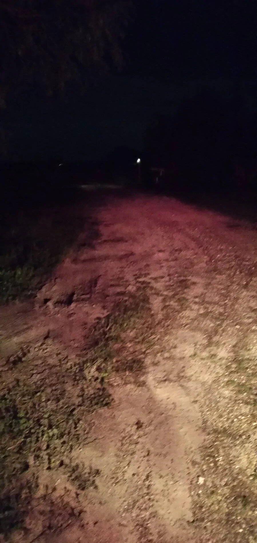 Ford Bronco Sport LED bulbs for tail lights 20210914_213829