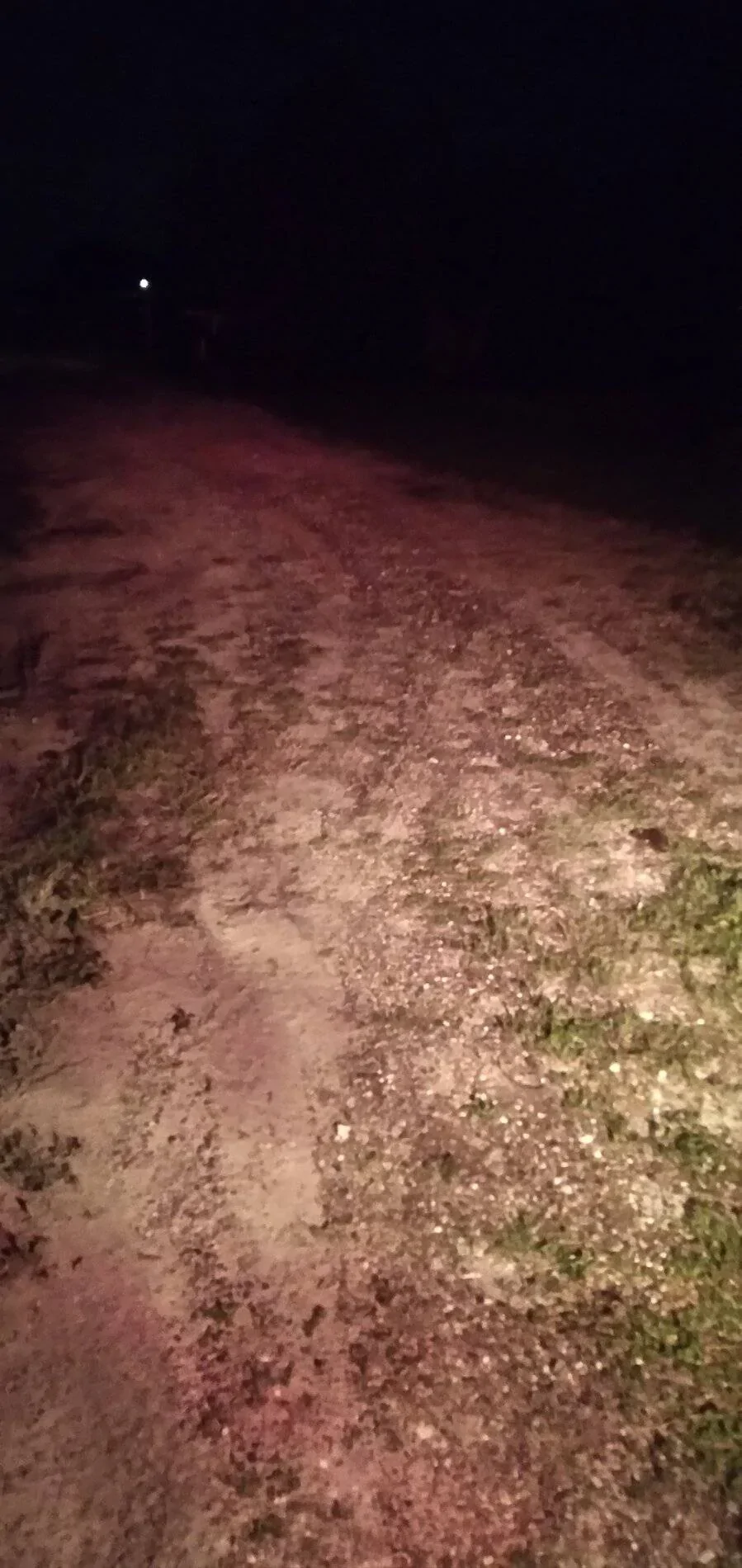 Ford Bronco Sport LED bulbs for tail lights 20210914_213822