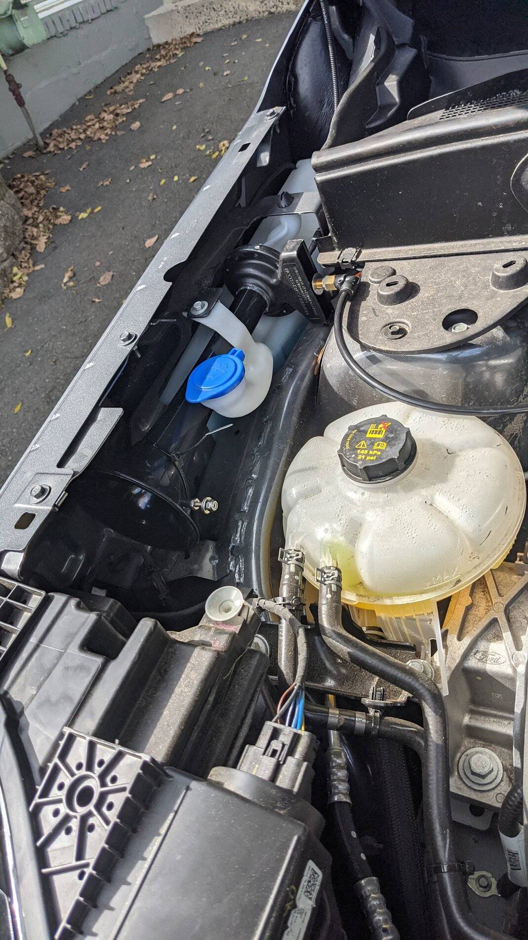 Ford Bronco Sport What did you do TO your Bronco Sport today? PXL_20210921_181323204